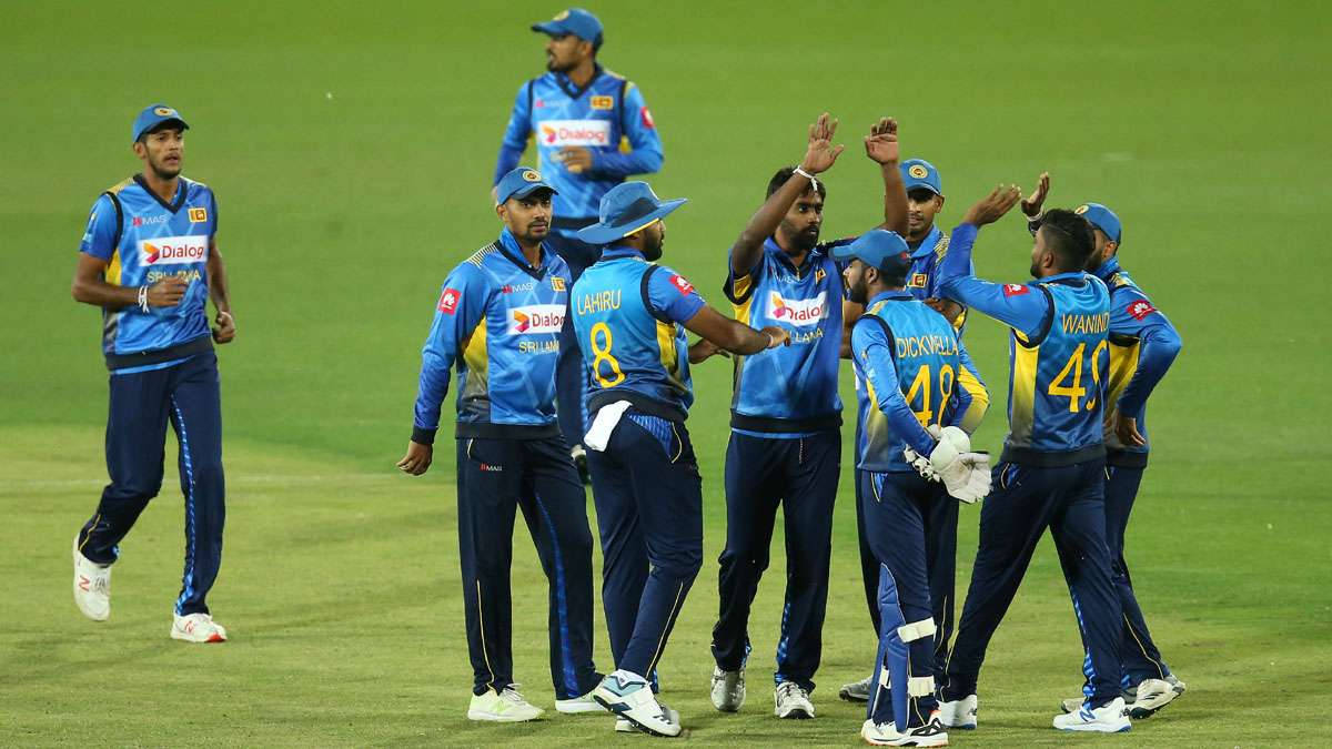 Sri Lanka Cricket 桌布 壁紙 — 穿著藍色球衣的板球運動員在體育場燈光下，於充滿活力的綠色場地上擊掌慶祝一個三柱門。
