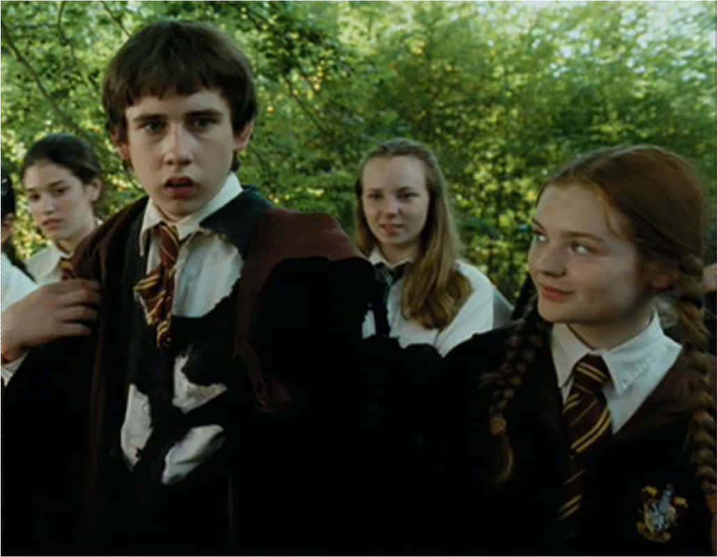Neville Longbottom 桌布 壁紙 — 穿著霍格華茲制服的學生站在陽光明媚的森林中，表情既震驚又覺得有趣。