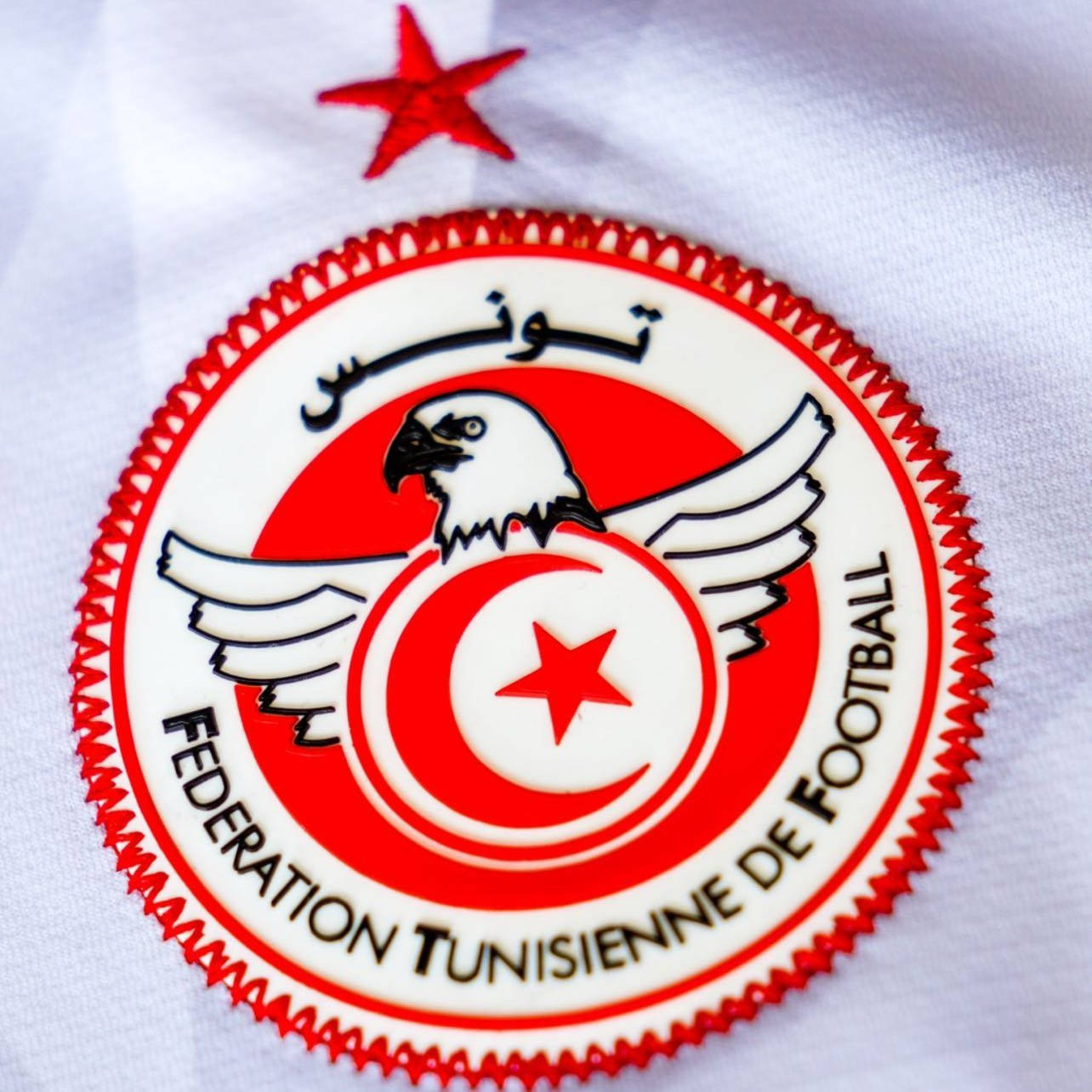 Tunisia 桌布 壁紙 — 突尼西亞足球協會會徽特寫，白色布料上有鷹、新月和星星圖案。