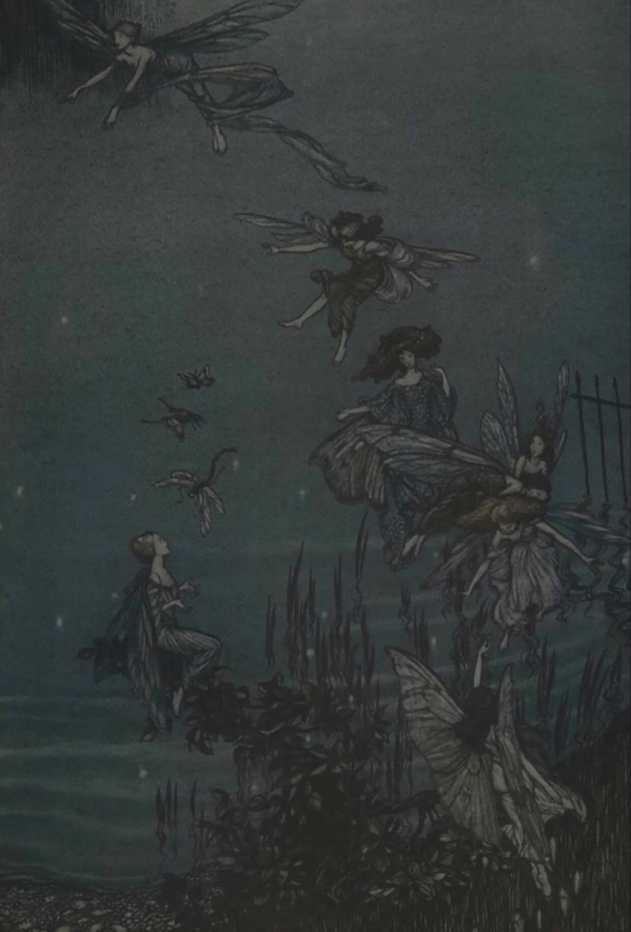 Fairy Grunge 桌布 壁紙 — 童話插圖，描繪有翼仙女和蝴蝶在星空下漂浮在黑暗的水面上。