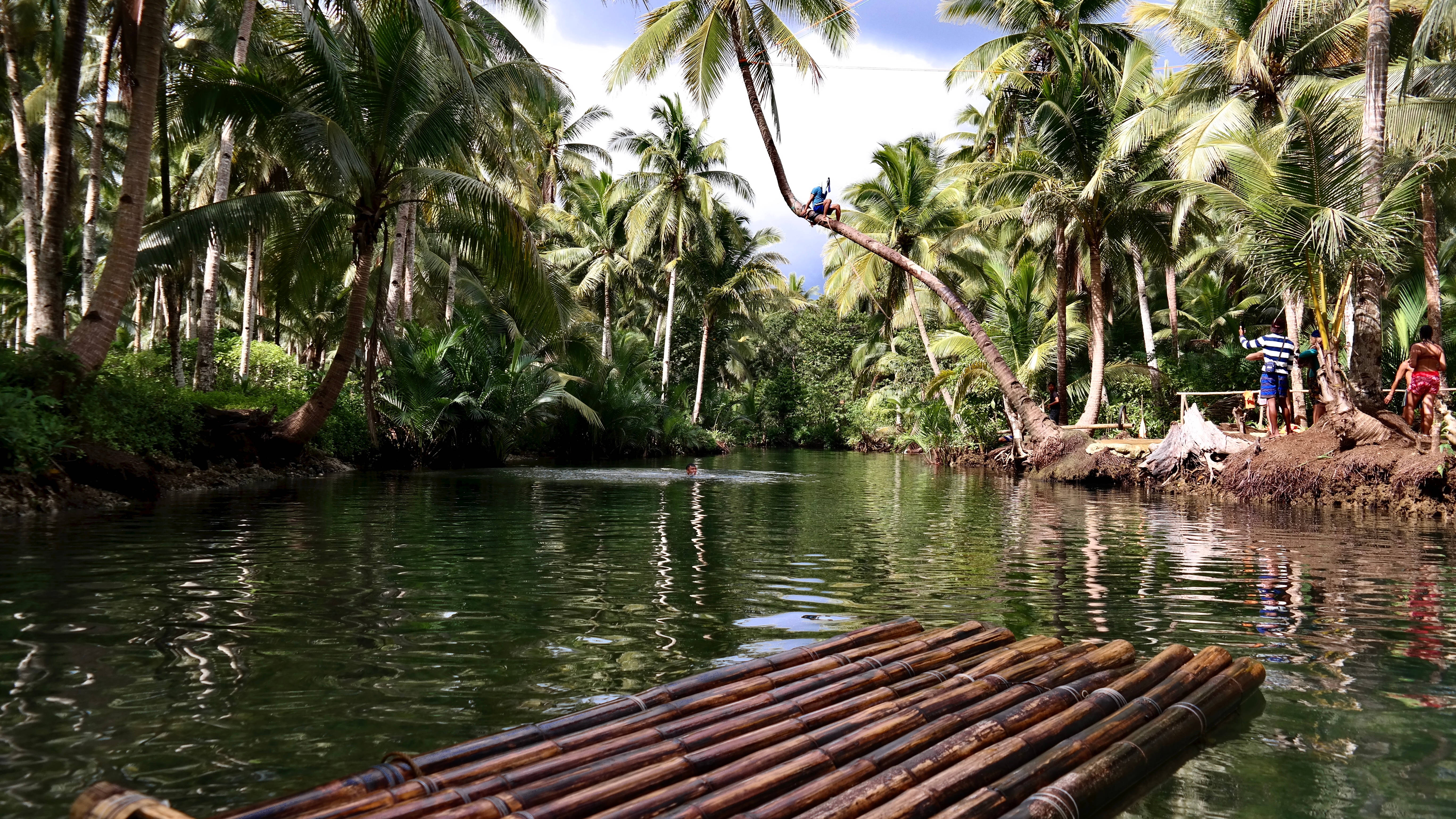 Siargao 桌布 壁紙 — 竹筏漂浮在平靜的綠色水面上，周圍是茂密的棕櫚樹，人們享受著熱帶河流景色。