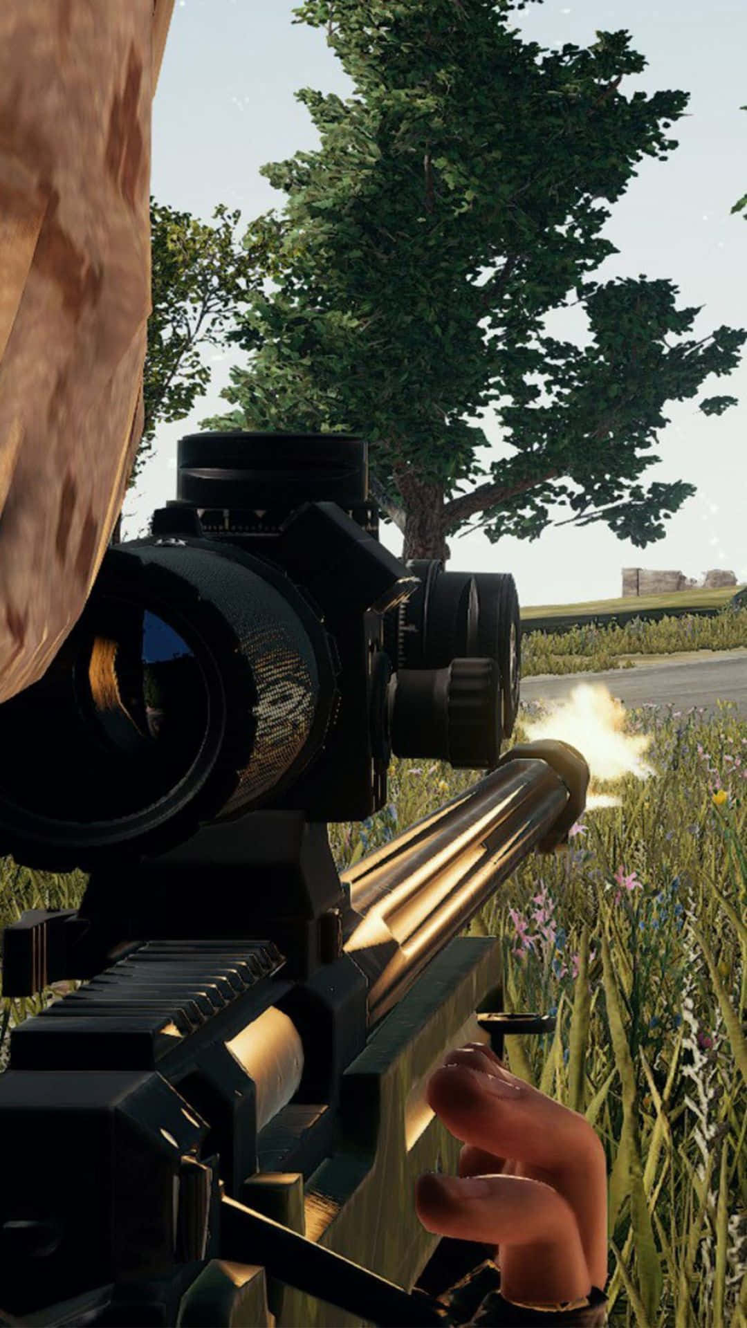 Pubg Guns 桌布 壁紙 — 第一人稱視角，狙擊步槍在陽光明媚的草地上射擊，背景有樹木和遠處的建築物。