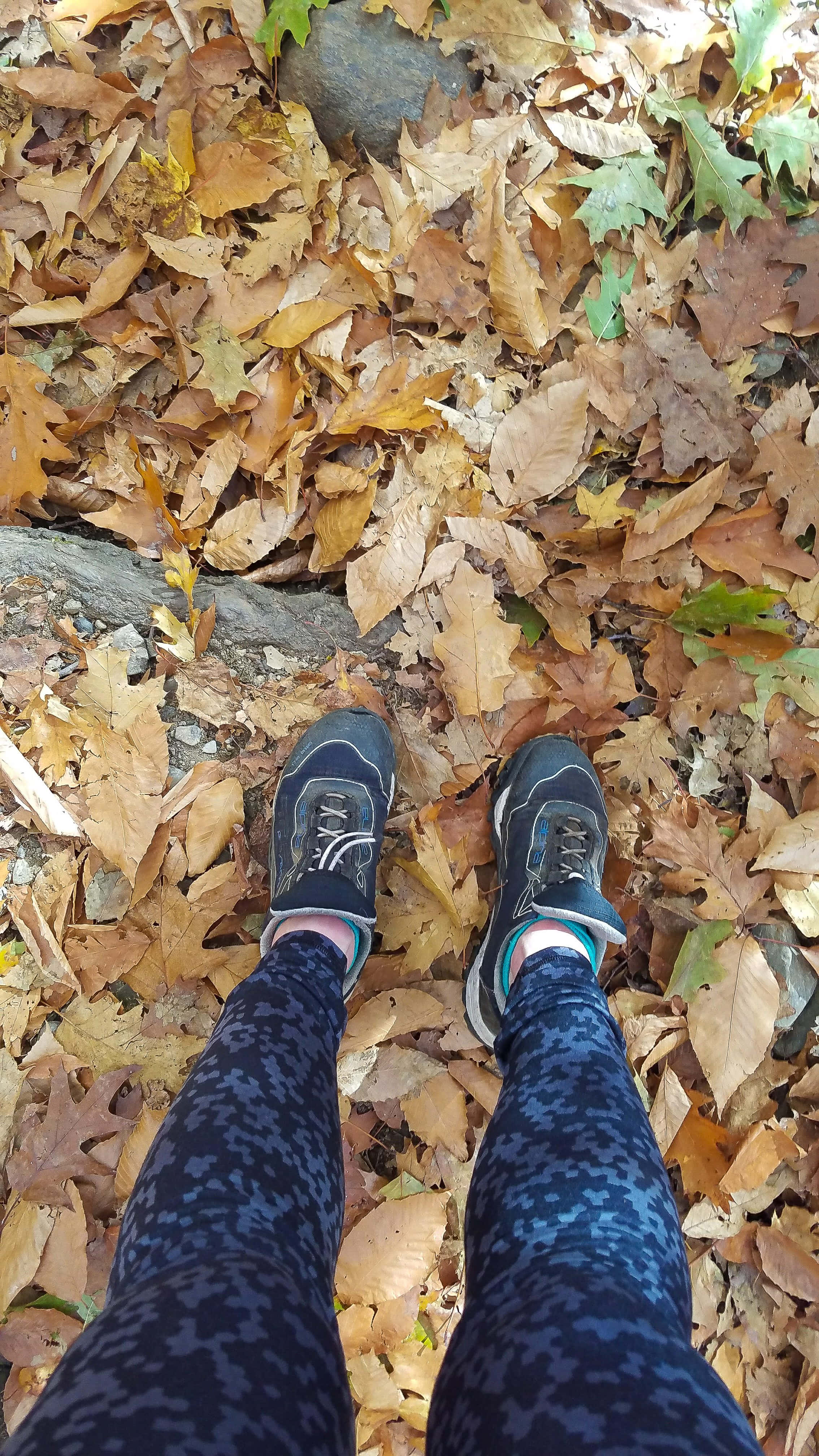 Fall Hikes 桌布 壁紙 — 第一人稱視角，穿著運動鞋的腳踩在金棕色秋葉和散落石頭的地毯上。