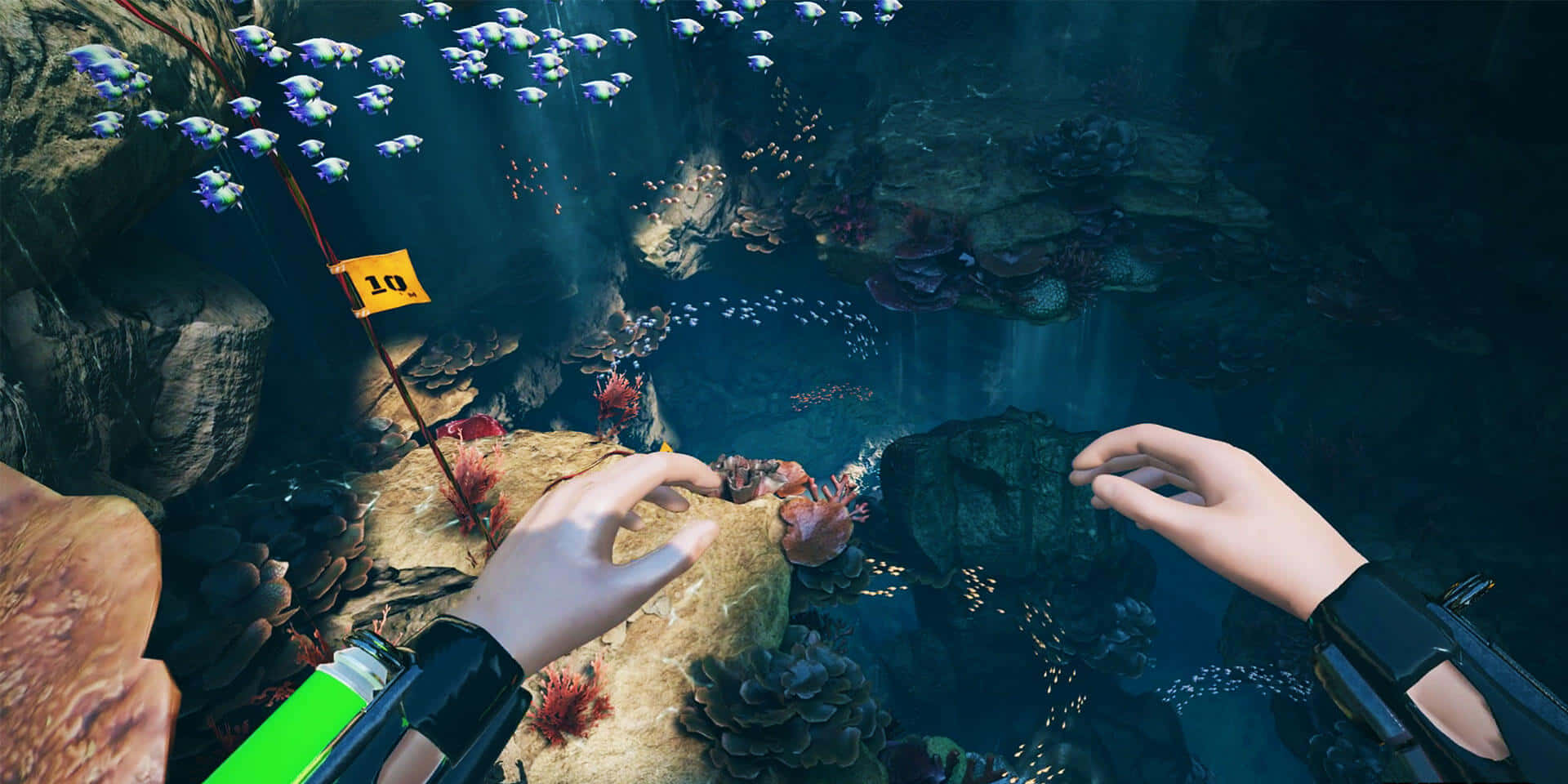 Game Trailers 桌布 壁紙 — 第一人稱視角，雙手探索充滿活力的珊瑚礁，魚群和深海藍色水域中的水下洞穴。