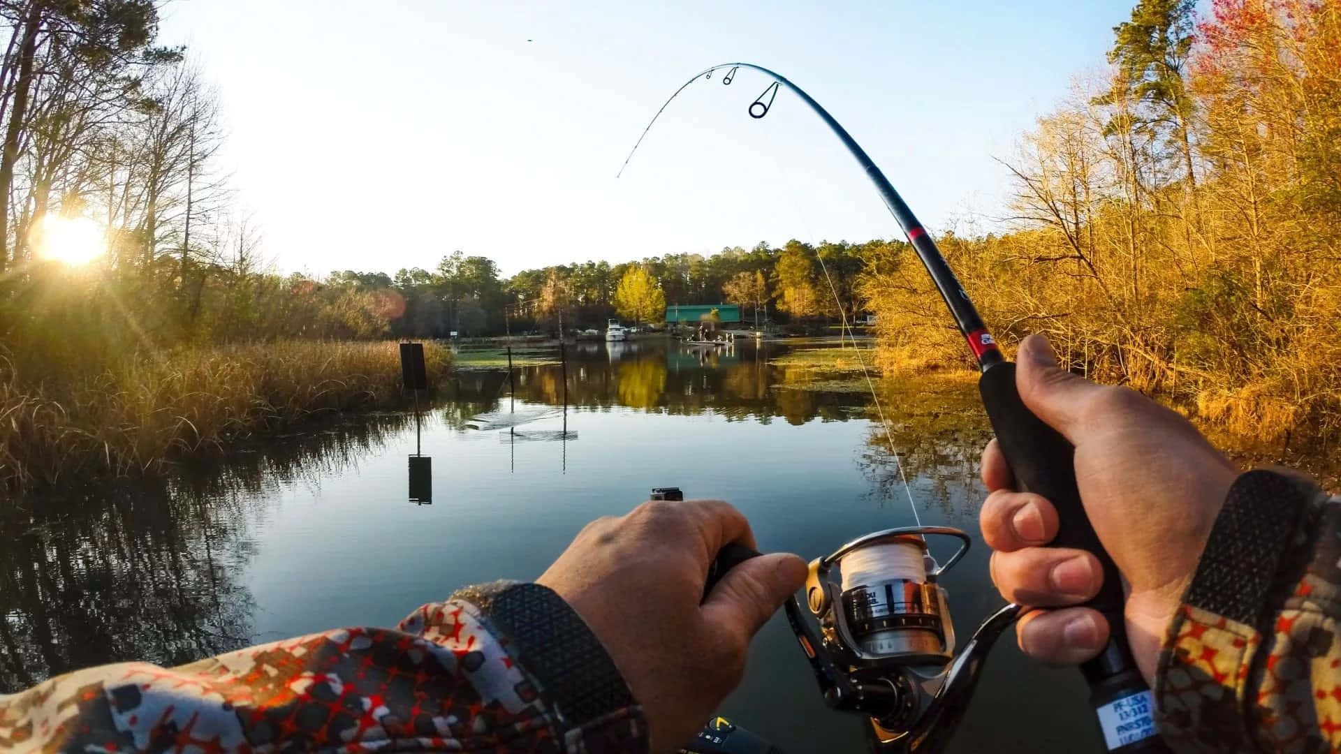 Fly Fishing 桌布 壁紙 — 第一人稱視角，雙手握著釣竿，在金色日出時拋入平靜的湖泊，秋天的樹木倒映在水中。