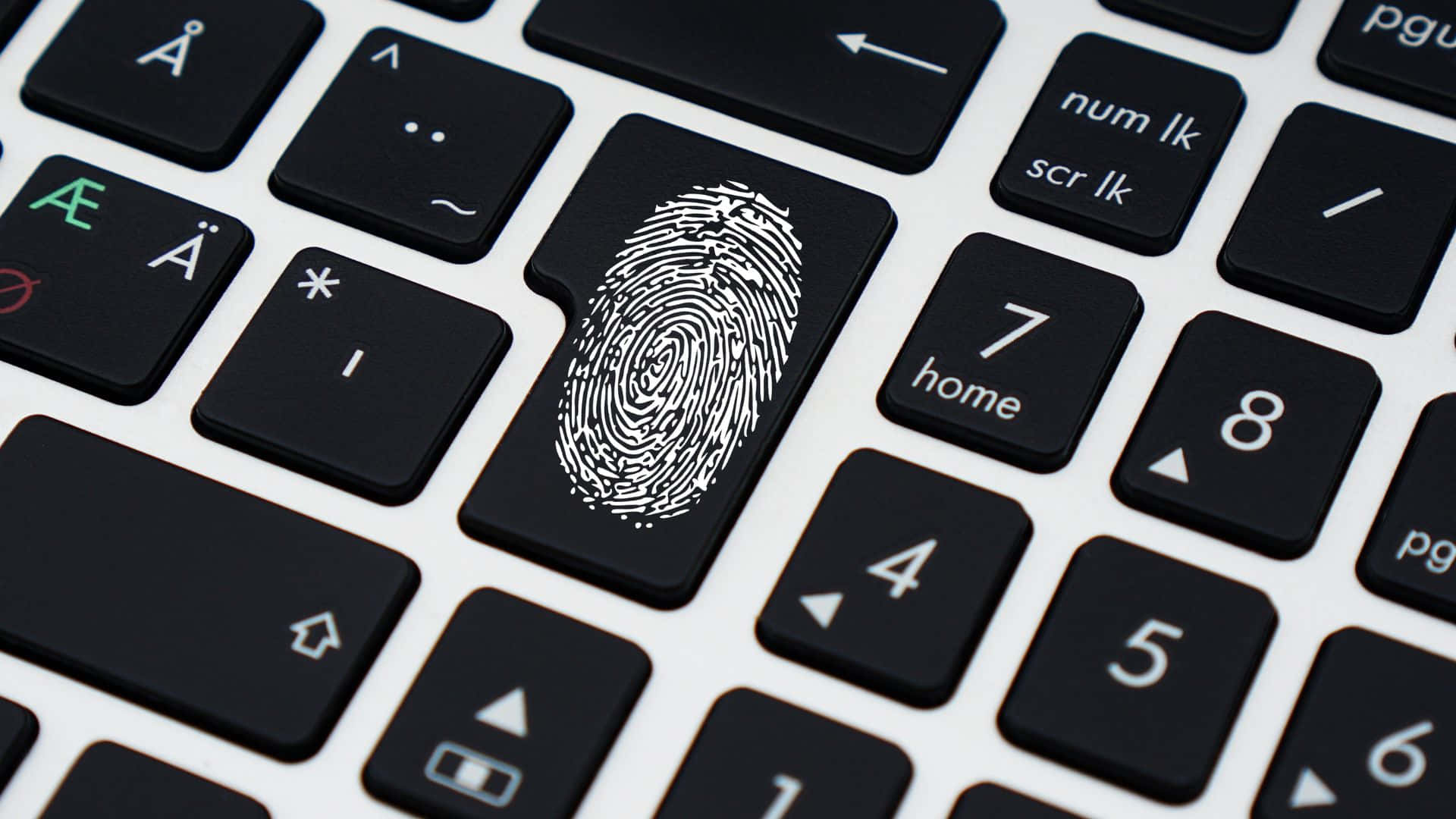 Fingerprint 桌布 壁紙 — 筆記型電腦鍵盤特寫，指紋掃描器按鍵以白色脊線在黑色按鍵中突出顯示。