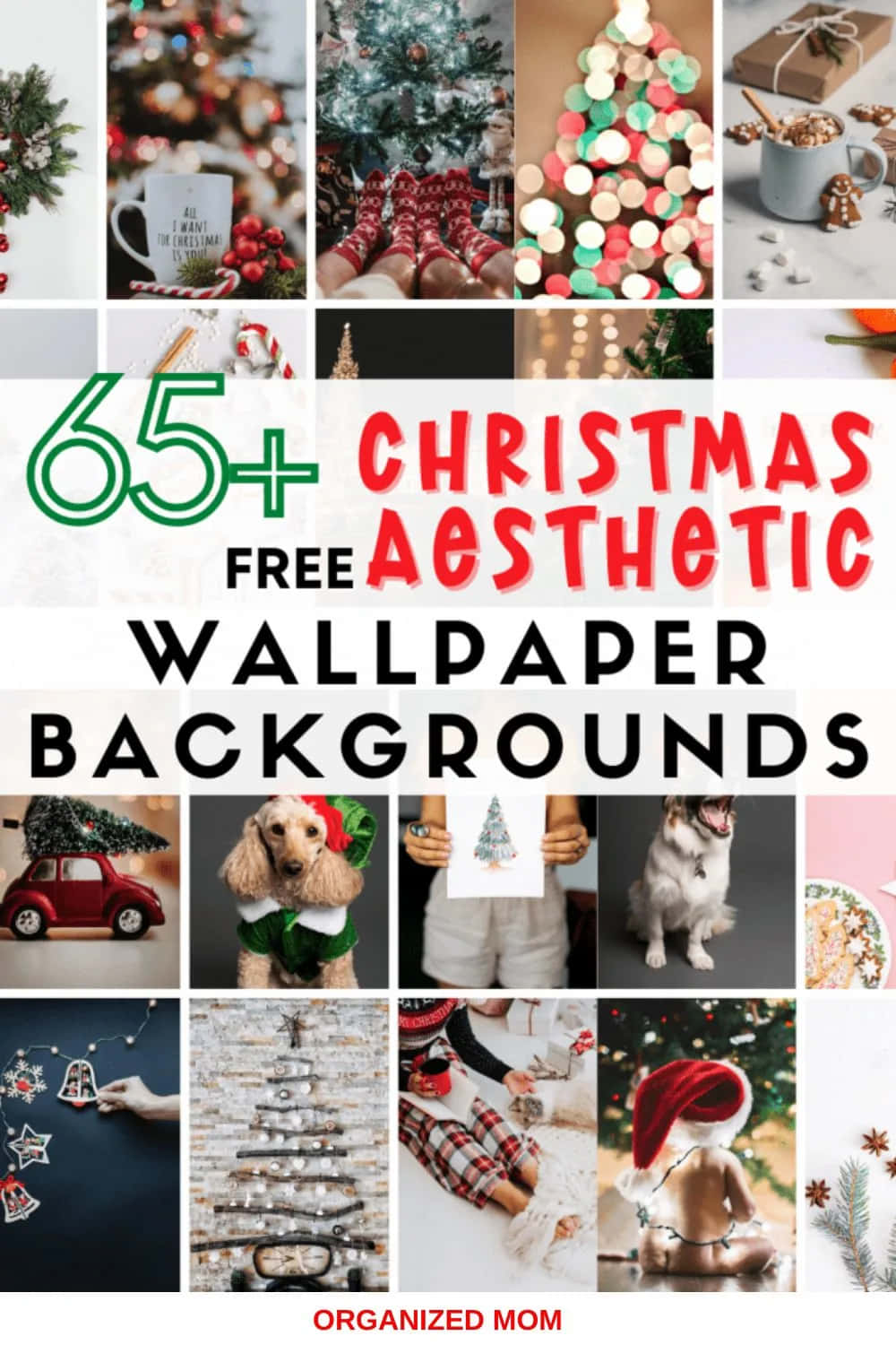 Cute Simple Christmas 桌布 壁紙 — 節日主題的桌布拼貼，包括裝飾樹、舒適襪子、薑餅美食以及紅色和綠色色調的節日寵物。