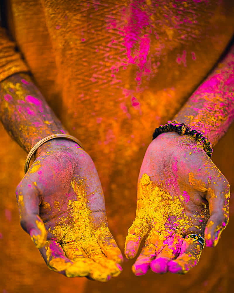 Holi 桌布 壁紙 — 節日慶祝期間，雙手沾滿鮮豔的粉紅色和黃色粉末的特寫。