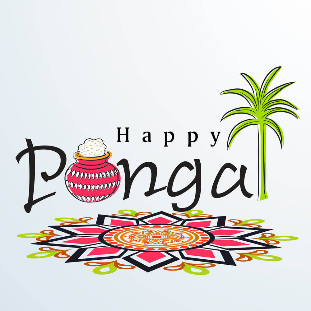 Greetings 桌布 壁紙 — 節日插圖慶祝Pongal，裝飾鍋、米飯、棕櫚樹和彩色rangoli設計。