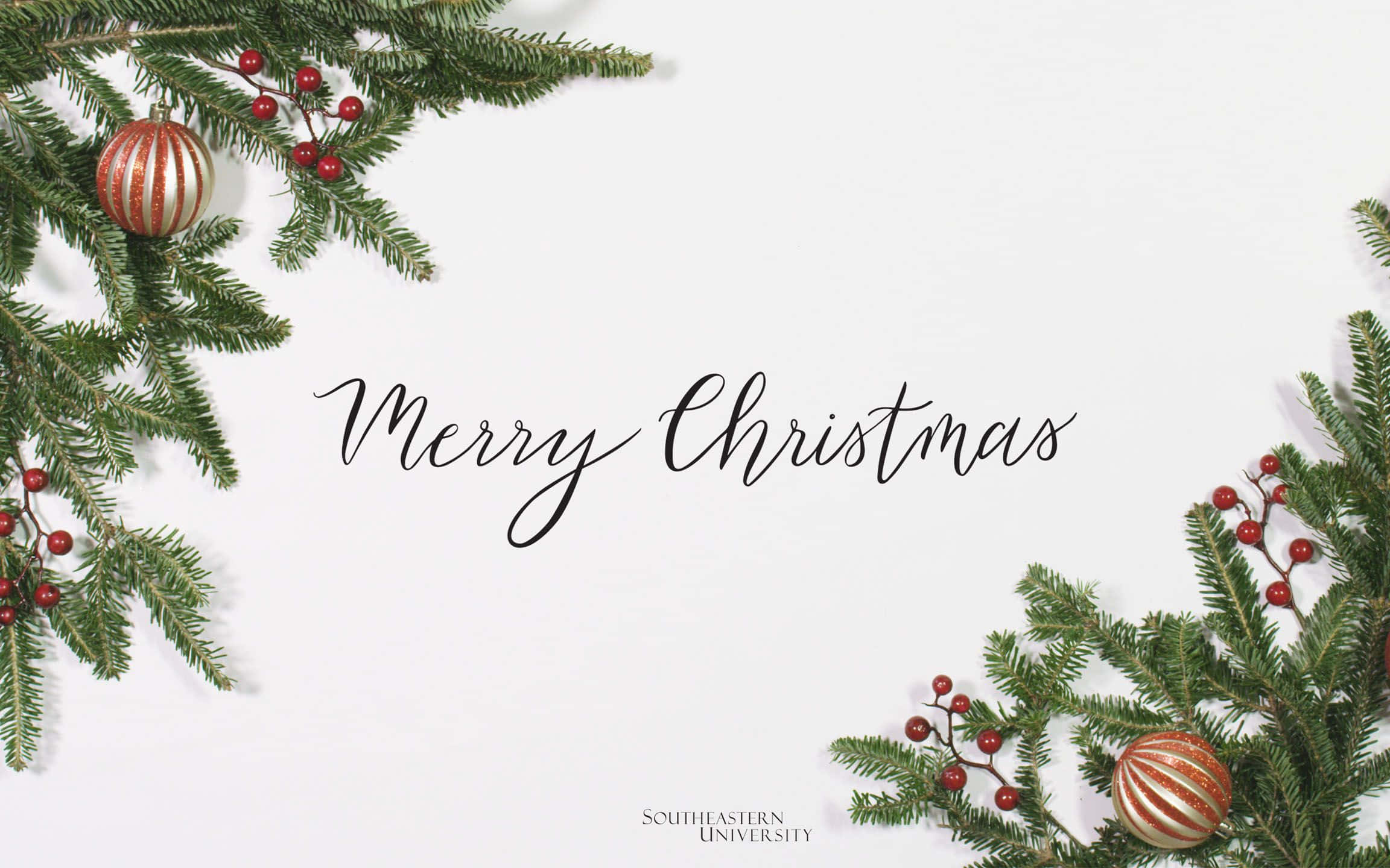 Cute Christmas Laptop 桌布 壁紙 — 節日的常青樹枝上掛著紅色漿果和條紋裝飾，在潔白的背景上襯托出優雅的草書Merry Christmas文字。