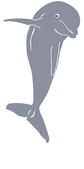 簡化海豚插圖 壁紙