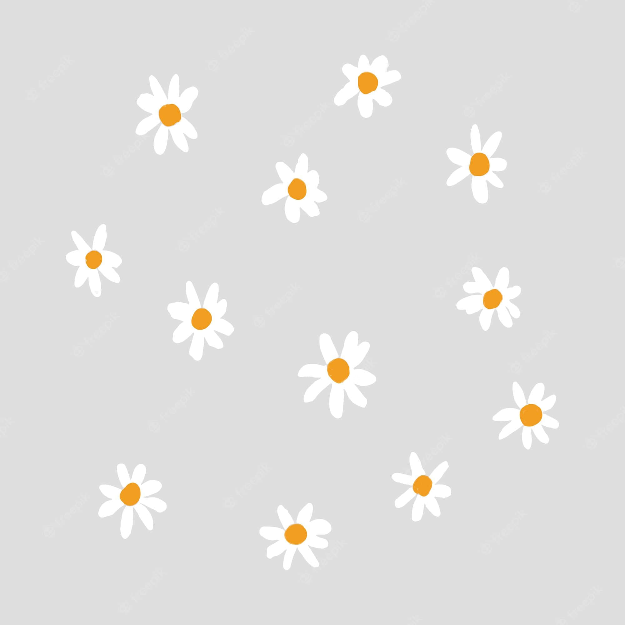 Daisy 桌布 壁紙 — 簡單的白色雛菊帶有橙色花心，在柔和的灰色背景上以分散圖案輕輕漂浮。