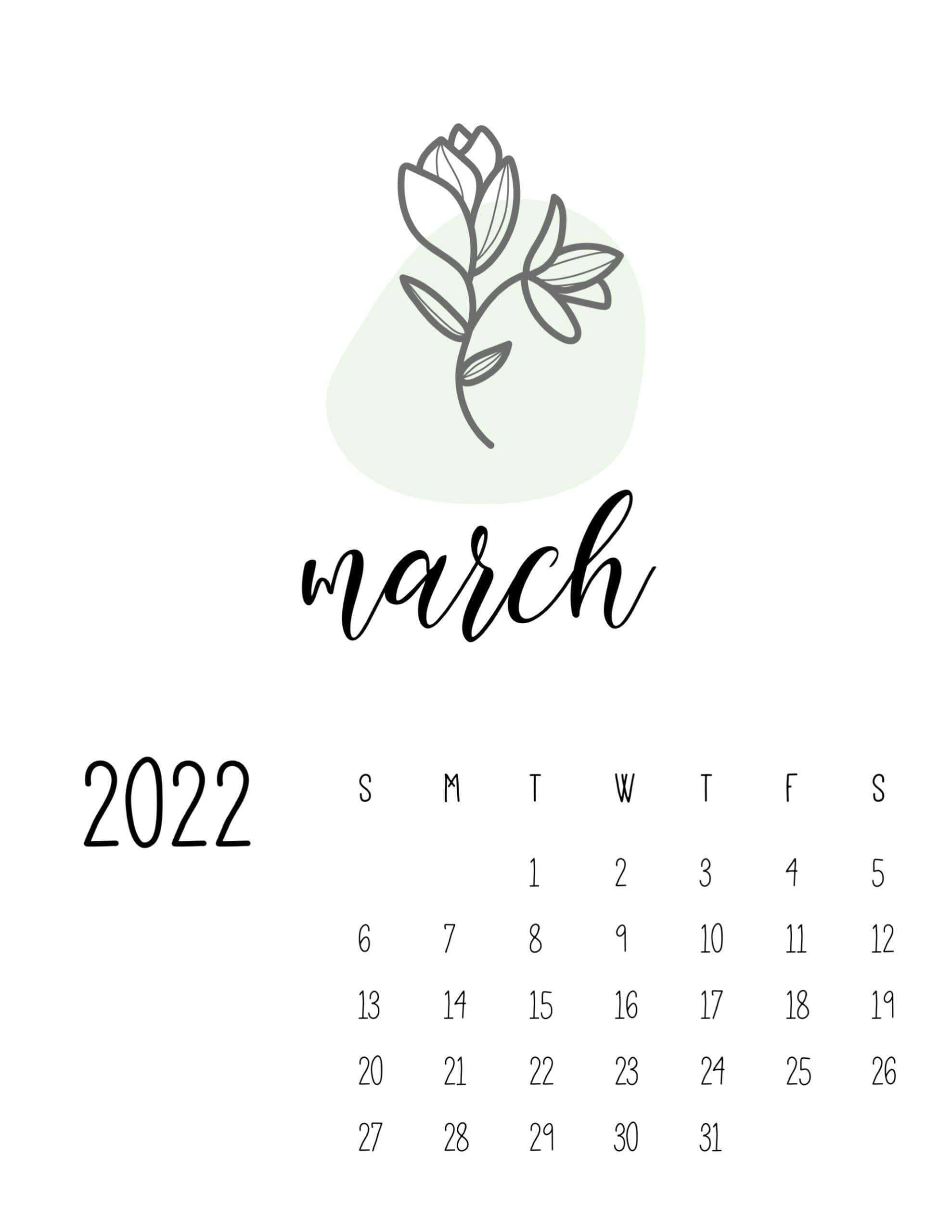 March 桌布 壁紙 — 簡約2022年3月月曆，配有精緻線條花朵和柔和薄荷色背景。