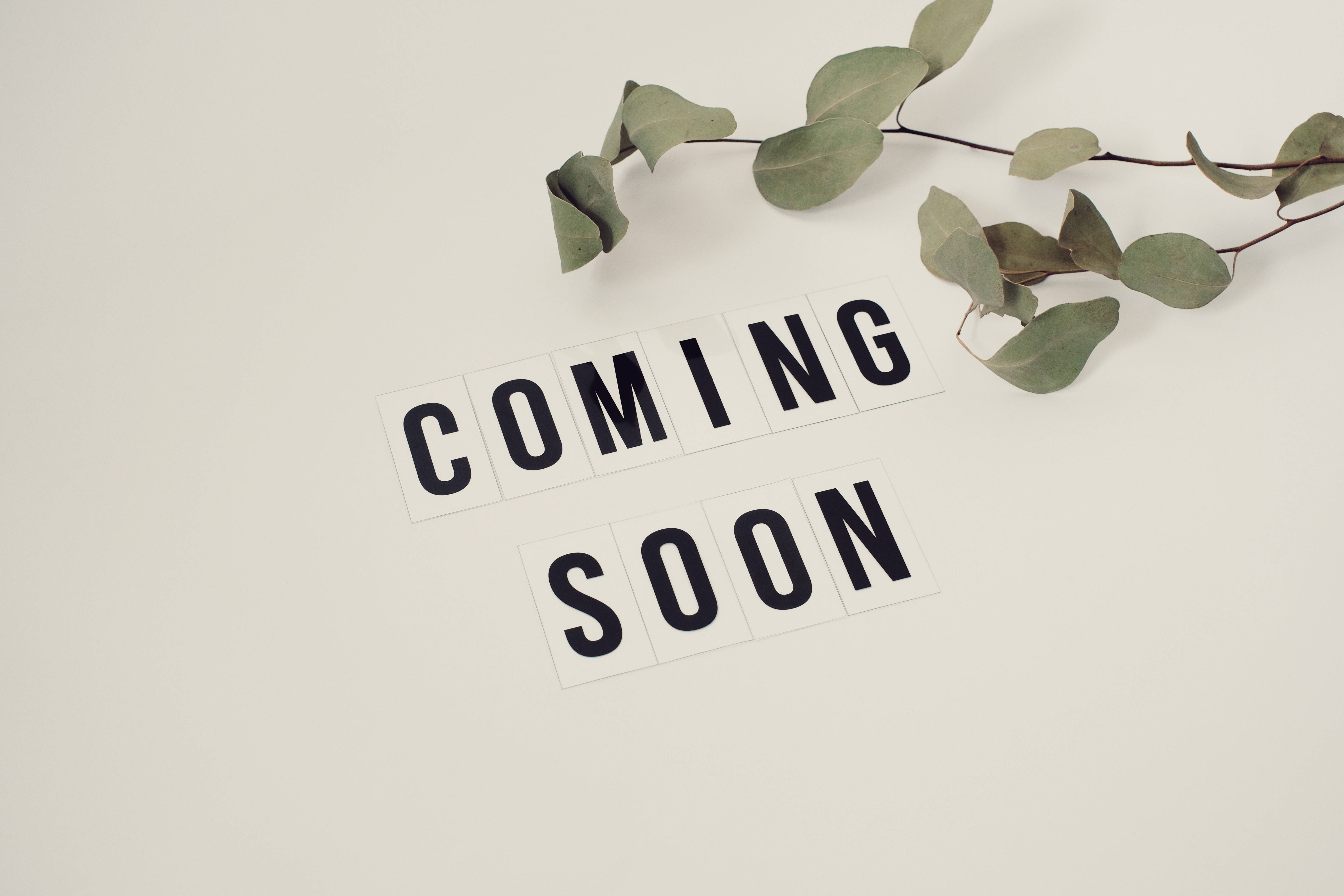 Coming Soon 桌布 壁紙 — 簡約平鋪構圖，以「COMING SOON」字母瓷磚和新鮮尤加利枝條點綴在柔和米色背景上。