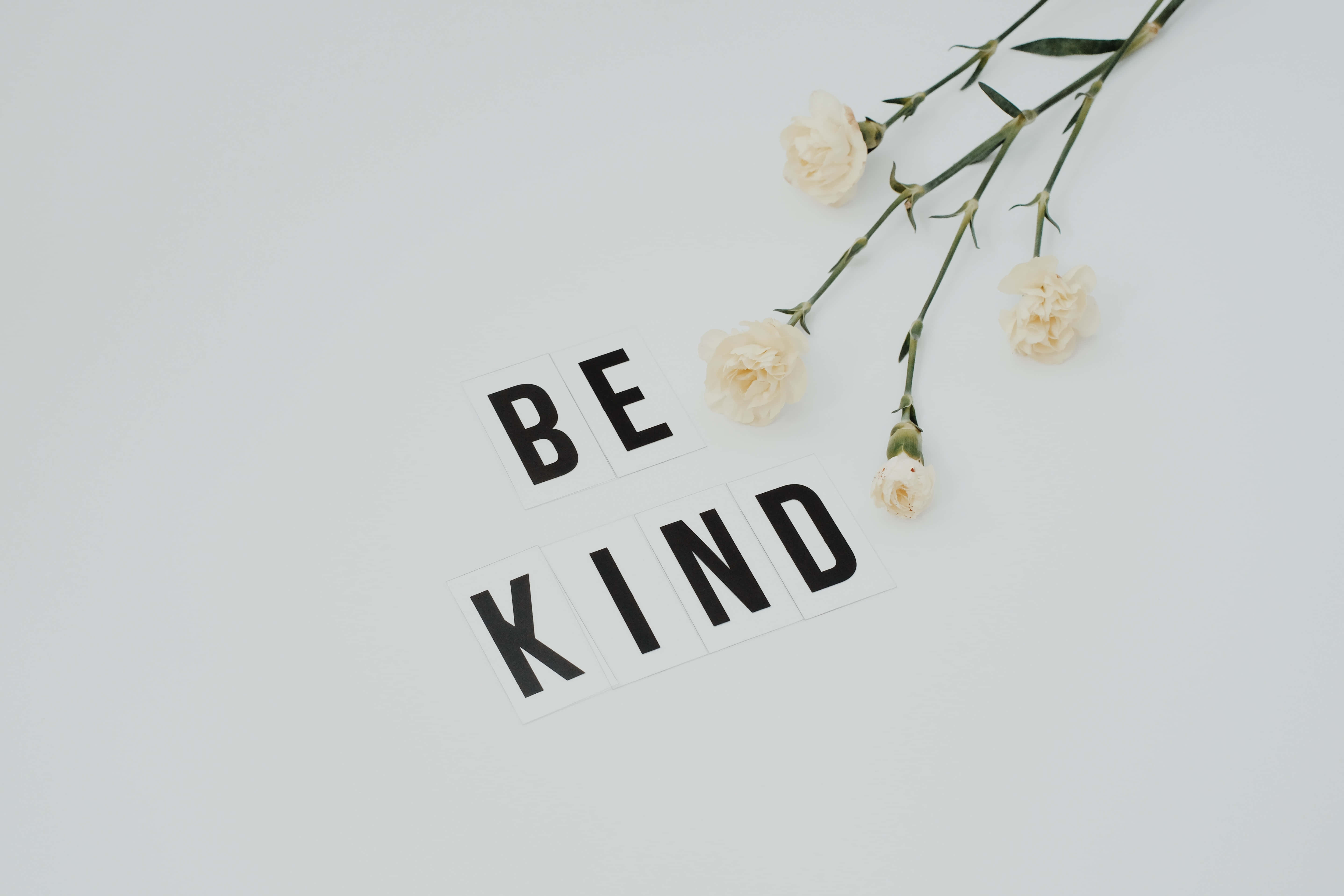 Be Kind 桌布 壁紙 — 簡約平鋪構圖，以粗體黑色字母拼出「BE KIND」，旁邊擺放精緻的奶油色康乃馨，置於柔軟白色背景上。