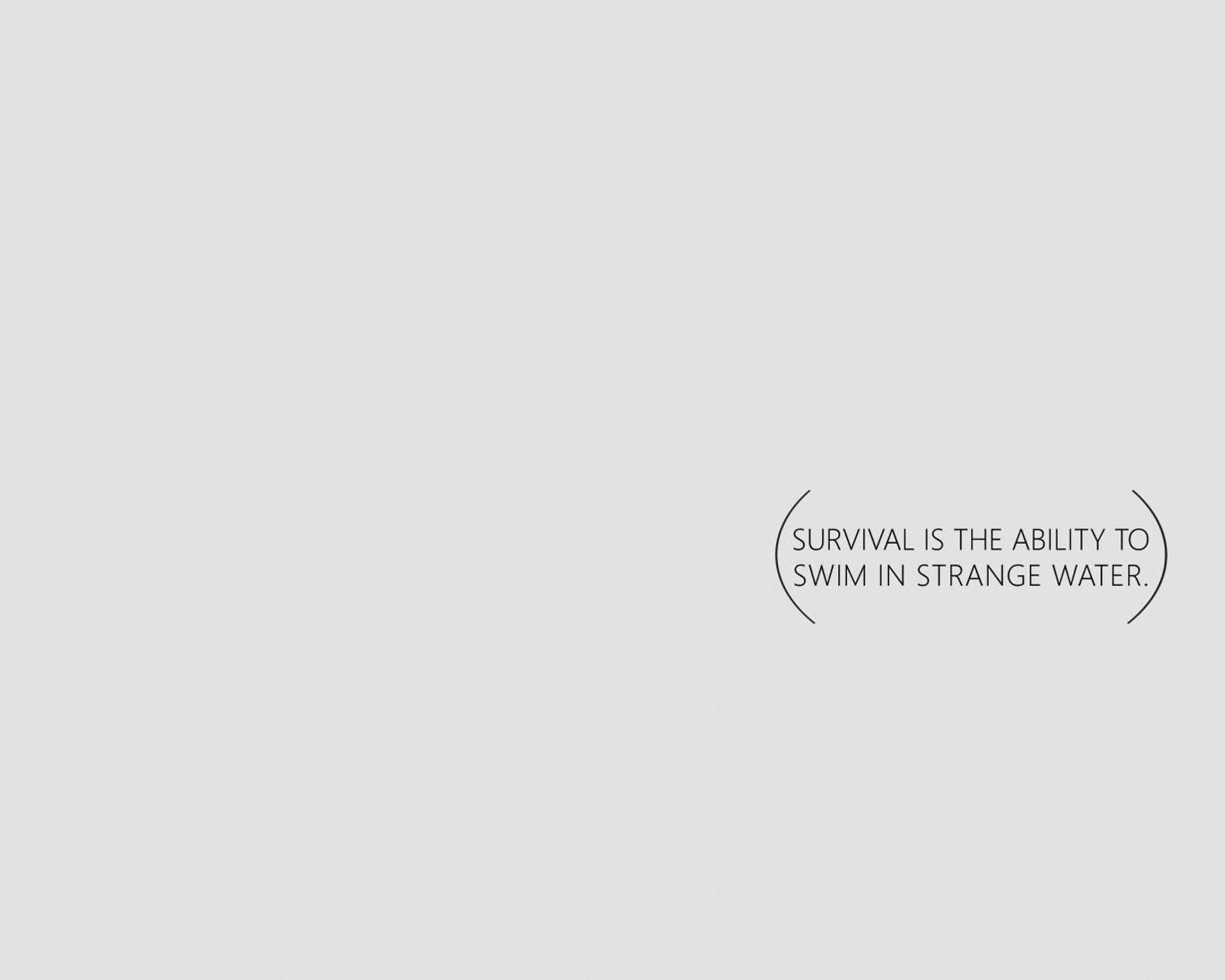 Minimalist Aesthetic 桌布 壁紙 — 簡約灰色背景，中央有黑色文字引言在彎曲括號內，內容為生存是在陌生水域中游泳的能力。