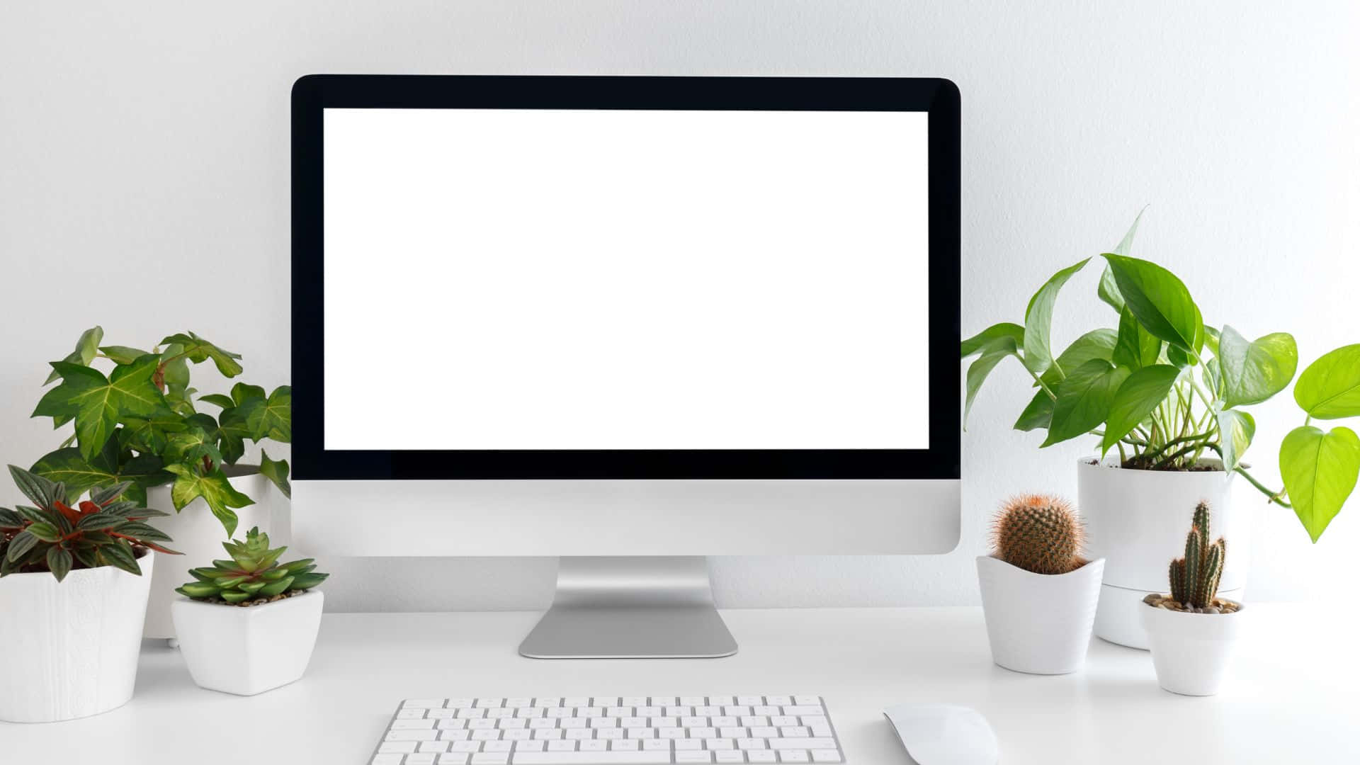 Computer Screen 桌布 壁紙 — 簡約白色桌面設置，配備時尚顯示器、鍵盤、滑鼠及各種盆栽植物，背景為潔淨牆壁。