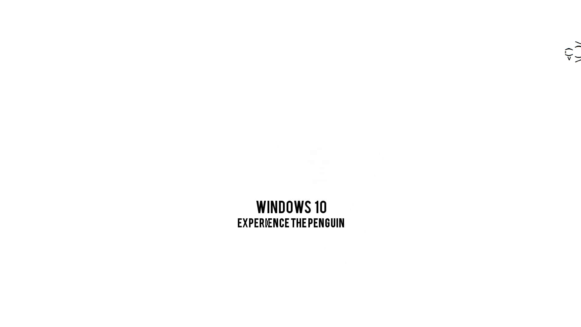 桌布 壁紙 — 簡約白色背景，粗體黑色文字寫著 Windows 10 Experience the Penguin，右上角有一個小企鵝圖標。