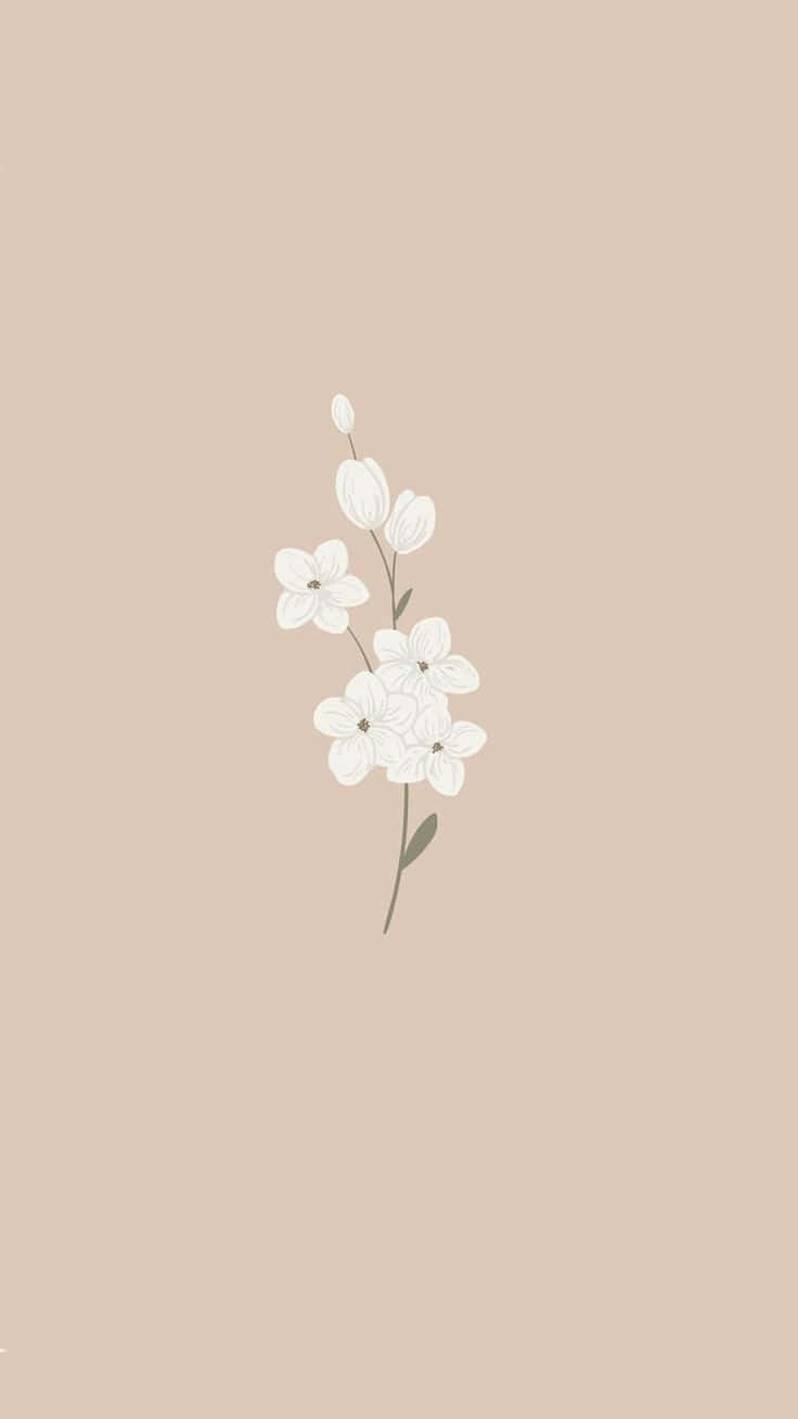 Cute Aesthetic Flower 桌布 壁紙 — 簡約白色花枝，帶有花蕾和葉子，置於柔和米色背景上。