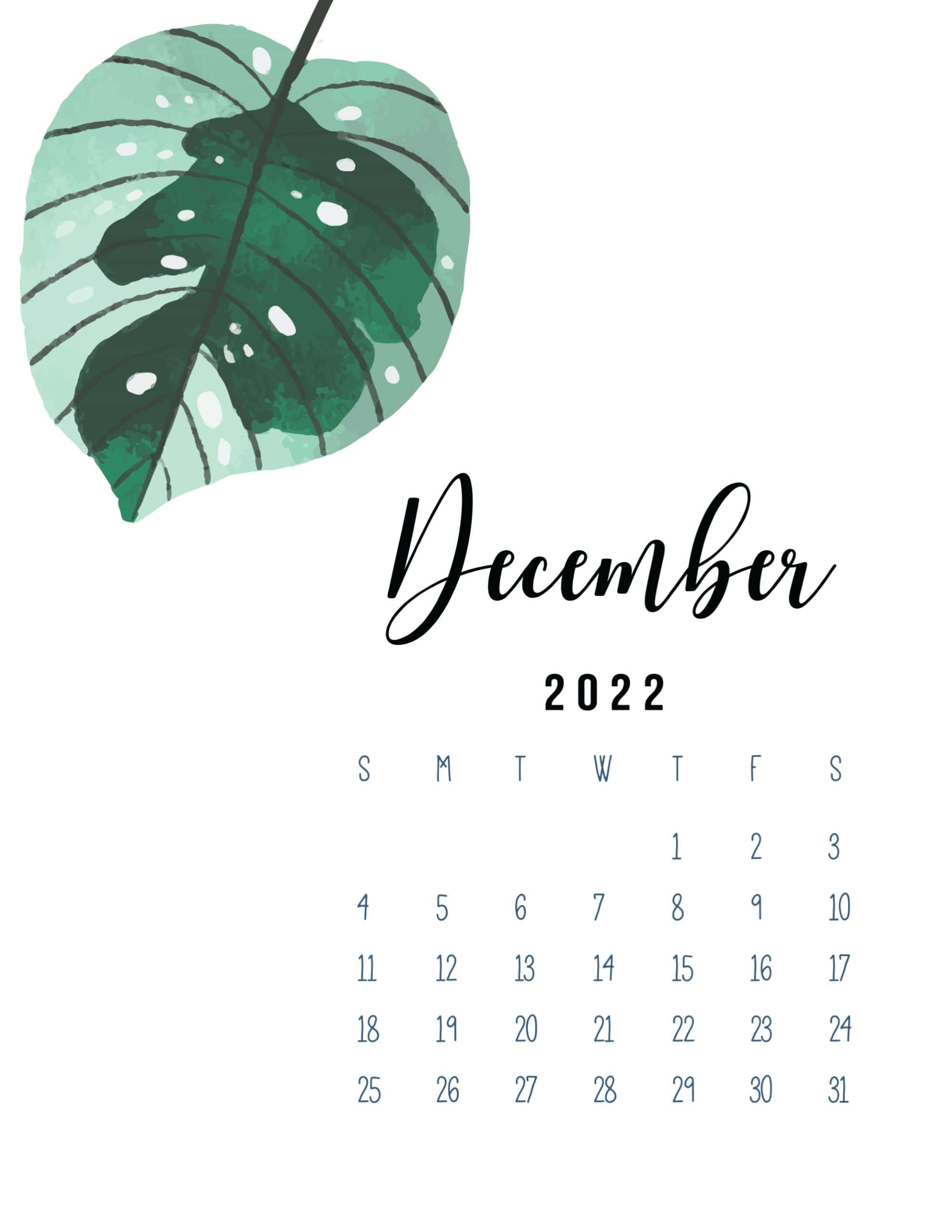 十二月 桌布 壁紙 — 簡約的2022年12月月曆，以綠色調的水彩龜背竹葉點綴在潔白背景上。