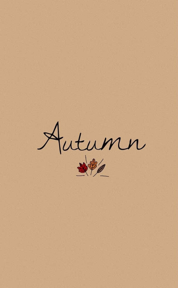 Fall Phone 桌布 壁紙 — 簡約秋季壁紙，以溫暖米色背景搭配手寫文字和三片風格化樹葉。