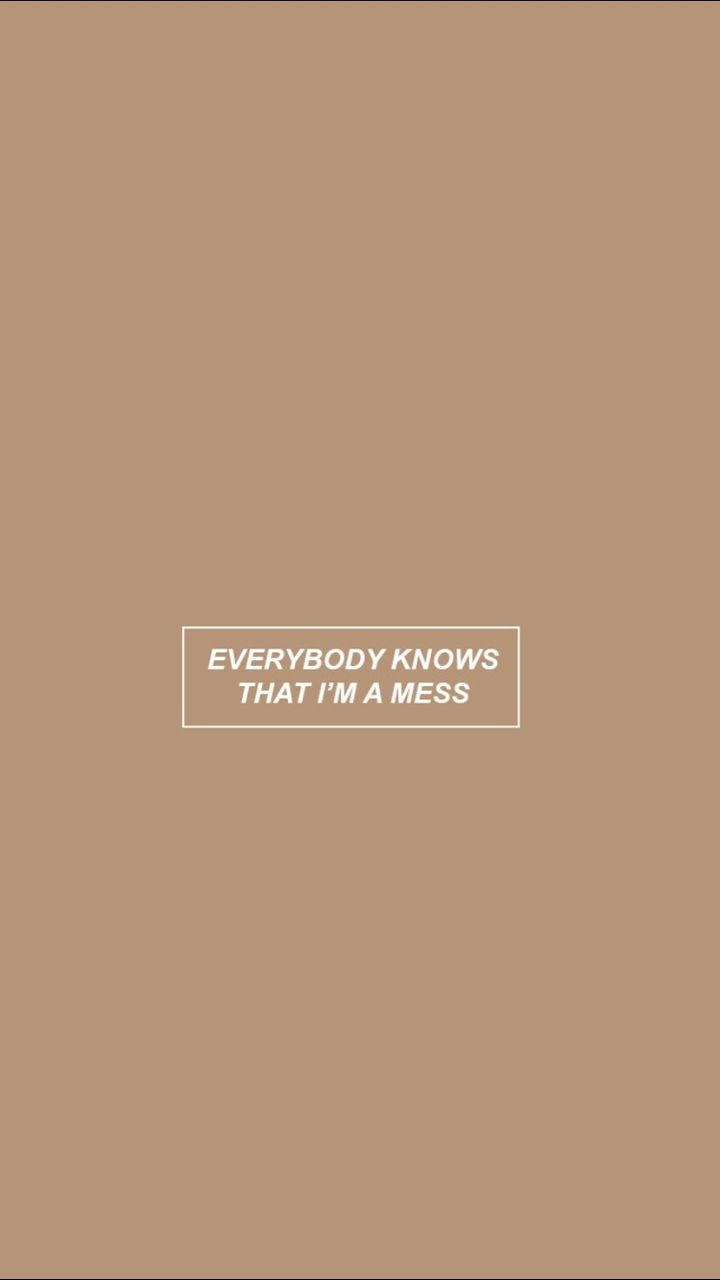 Quote 桌布 壁紙 — 簡約米色背景，中央有一個白色文字框，寫著 everybody knows that i'm a mess。