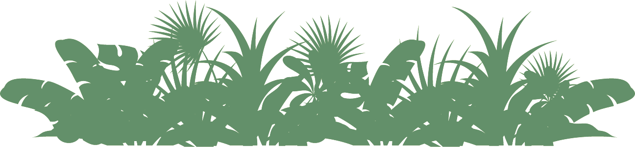 Trees Clipart 桌布 壁紙 — 簡約綠色背景，帶有精緻的淺綠色線條藝術，描繪草和尖刺植物。
