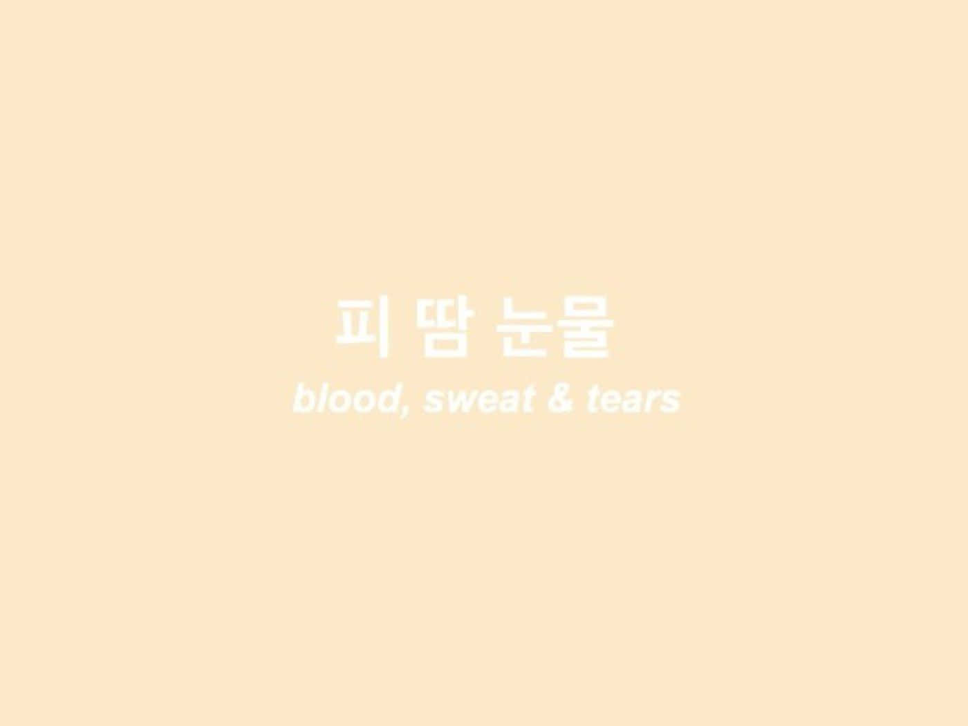 Aesthetic Korean 桌布 壁紙 — 簡約蜜桃色背景，中央放置韓文和英文文字「blood sweat & tears」。