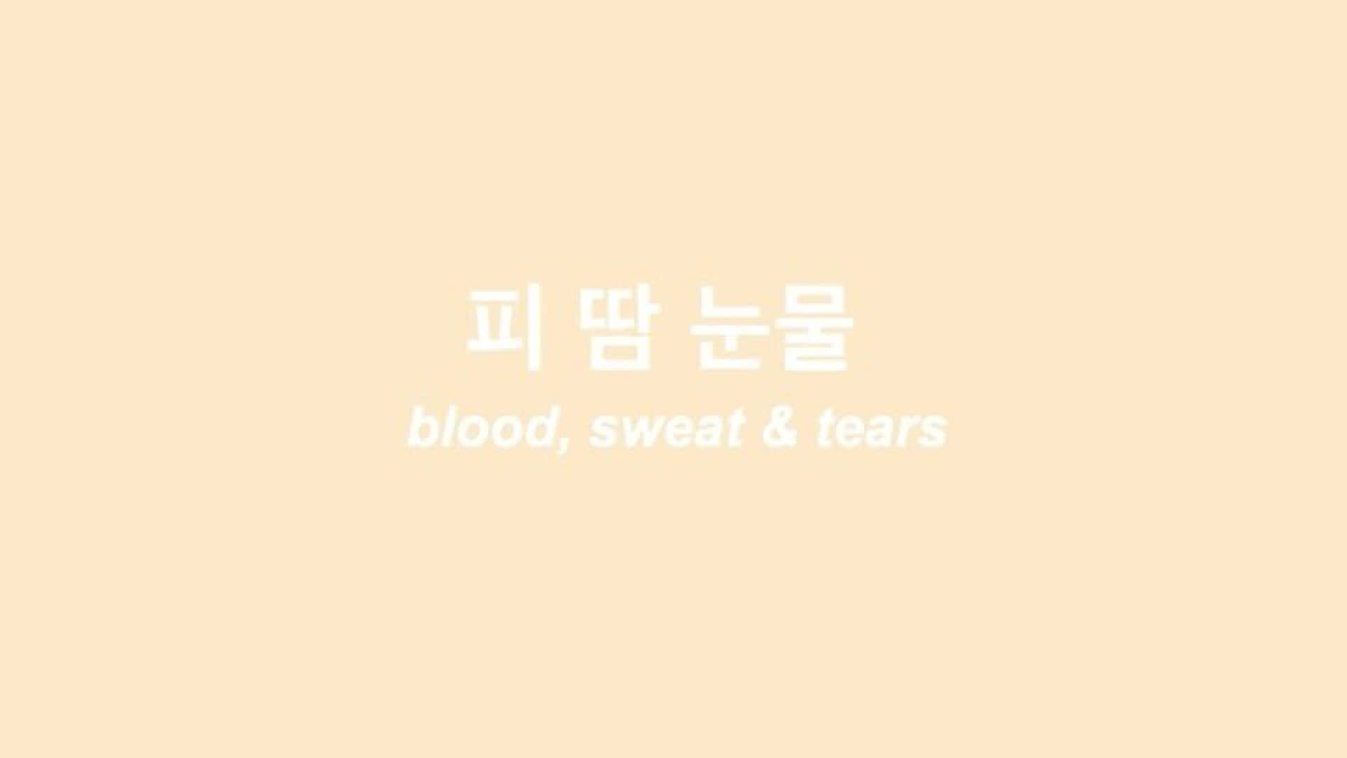 korean 桌布 壁紙 — 簡約蜜桃色背景，中央有韓文文字及英文翻譯 blood sweat & tears。