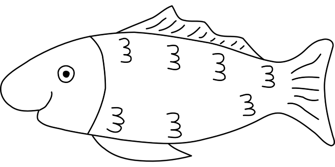 簡約黑白魚類插圖 壁紙