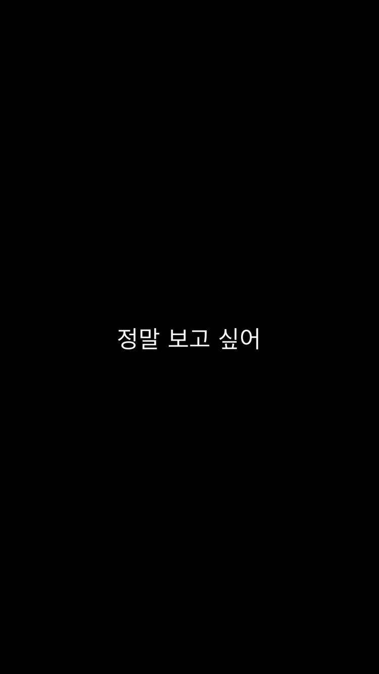 Missing 桌布 壁紙 — 簡約黑色背景，中央白色韓文文字寫著「정말 보고 싶어」，傳達思念之情。