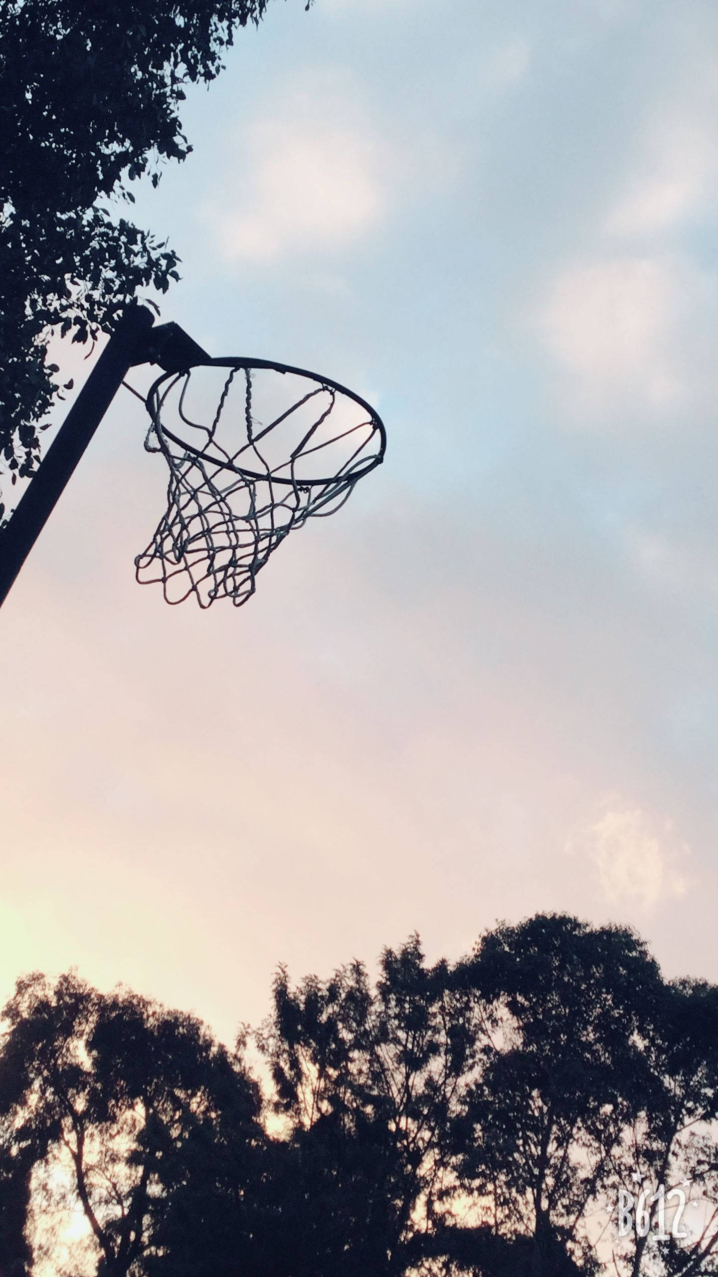 ball 桌布 壁紙 — 籃球框的剪影，以柔和粉彩日落天空為背景，並由深色樹梢框住。