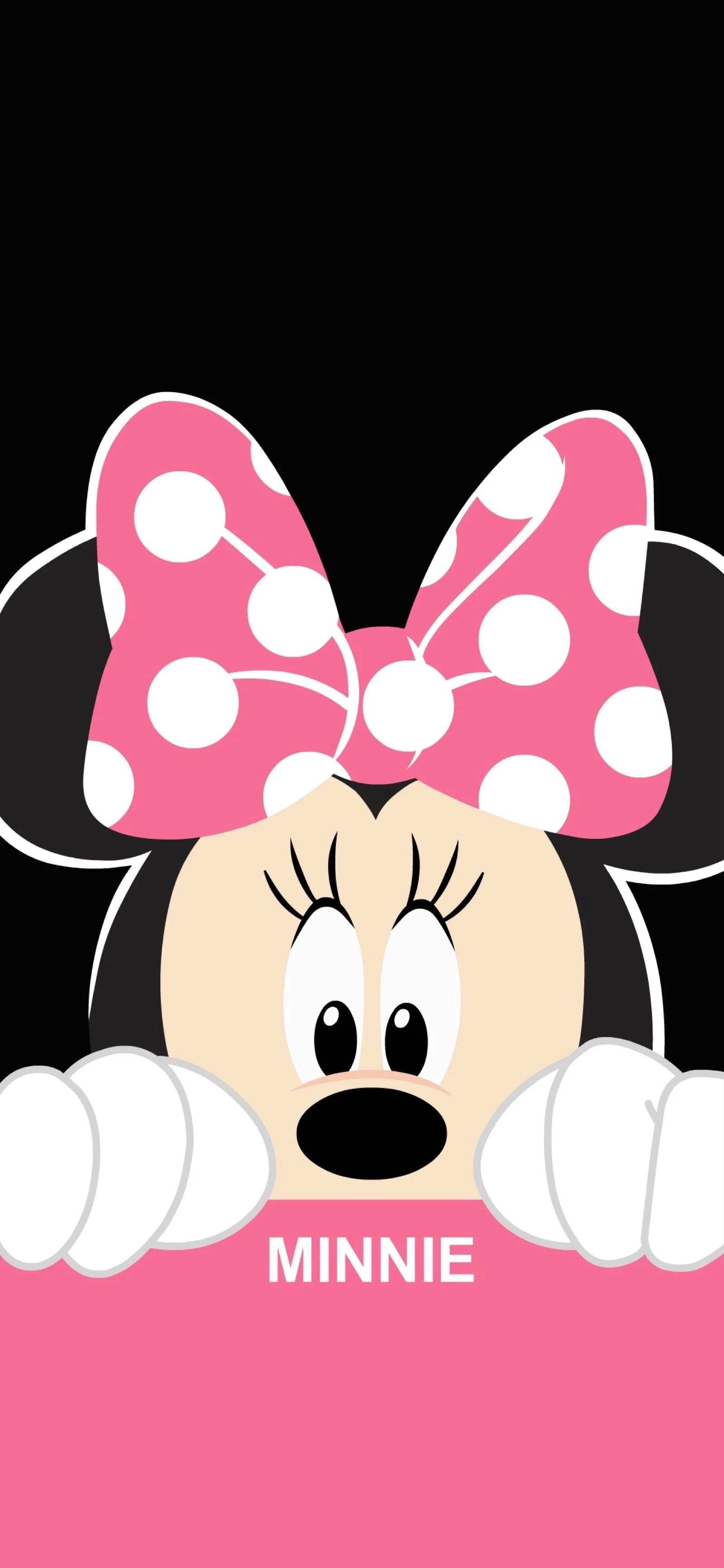 minnie 桌布 壁紙 — 米妮老鼠在黑色背景前，戴著她標誌性的波點蝴蝶結，在粉紅色吧檯上面探頭出來。