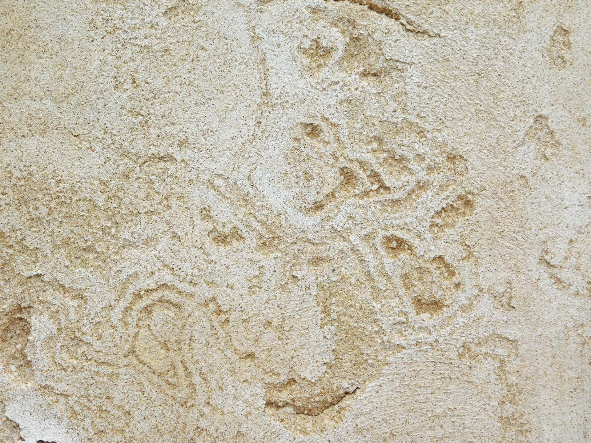 Stone texture 壁紙 — 米色石頭表面的特寫，帶有漩渦狀自然圖案和微妙的紋理變化。