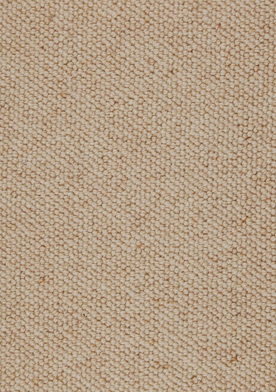 Carpet Texture 桌布 壁紙 — 米色紋理地毯的特寫，均勻的環狀纖維營造出柔軟的觸感表面。