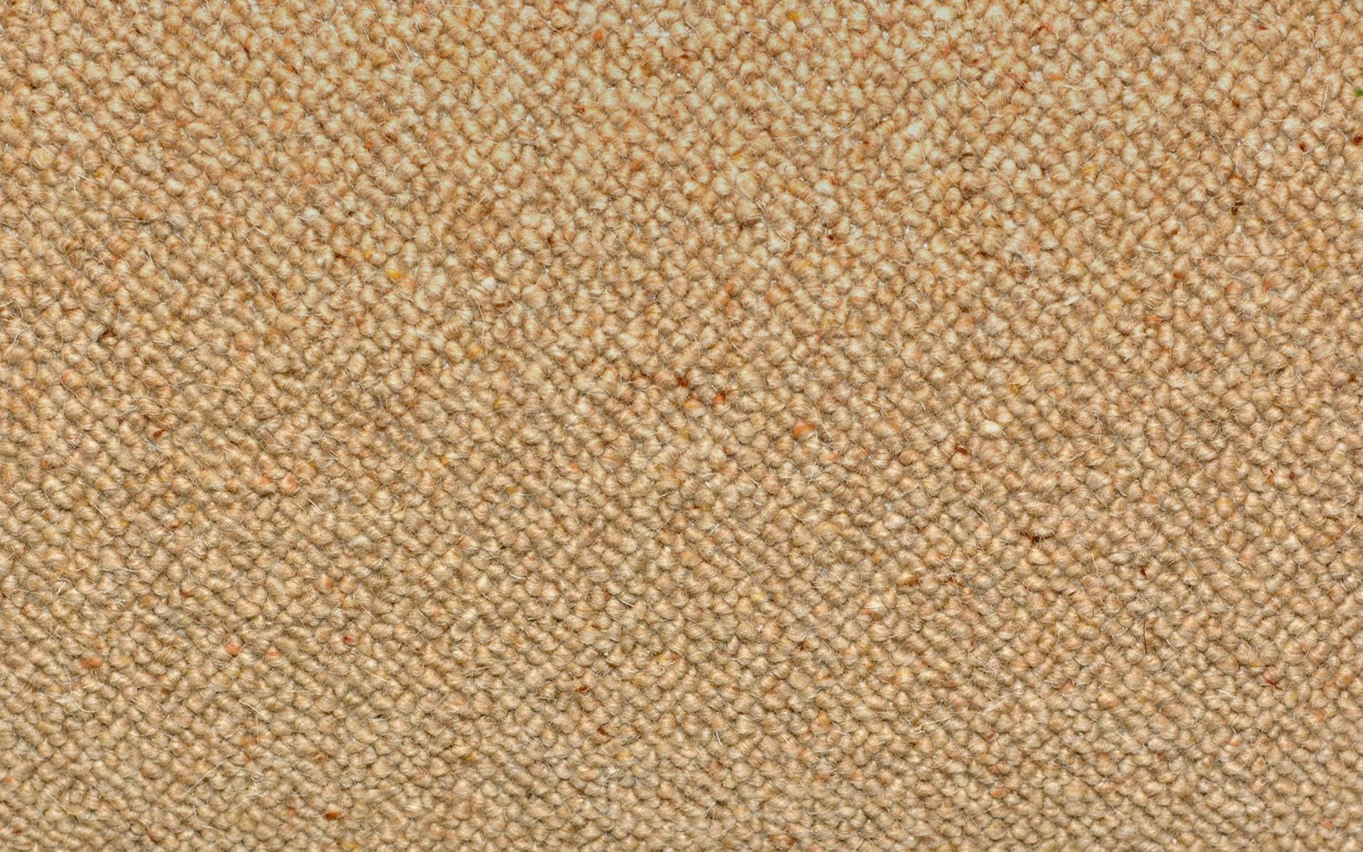 texture 桌布 壁紙 — 米色紋理地毯的特寫，色調和纖維細節有細微變化。