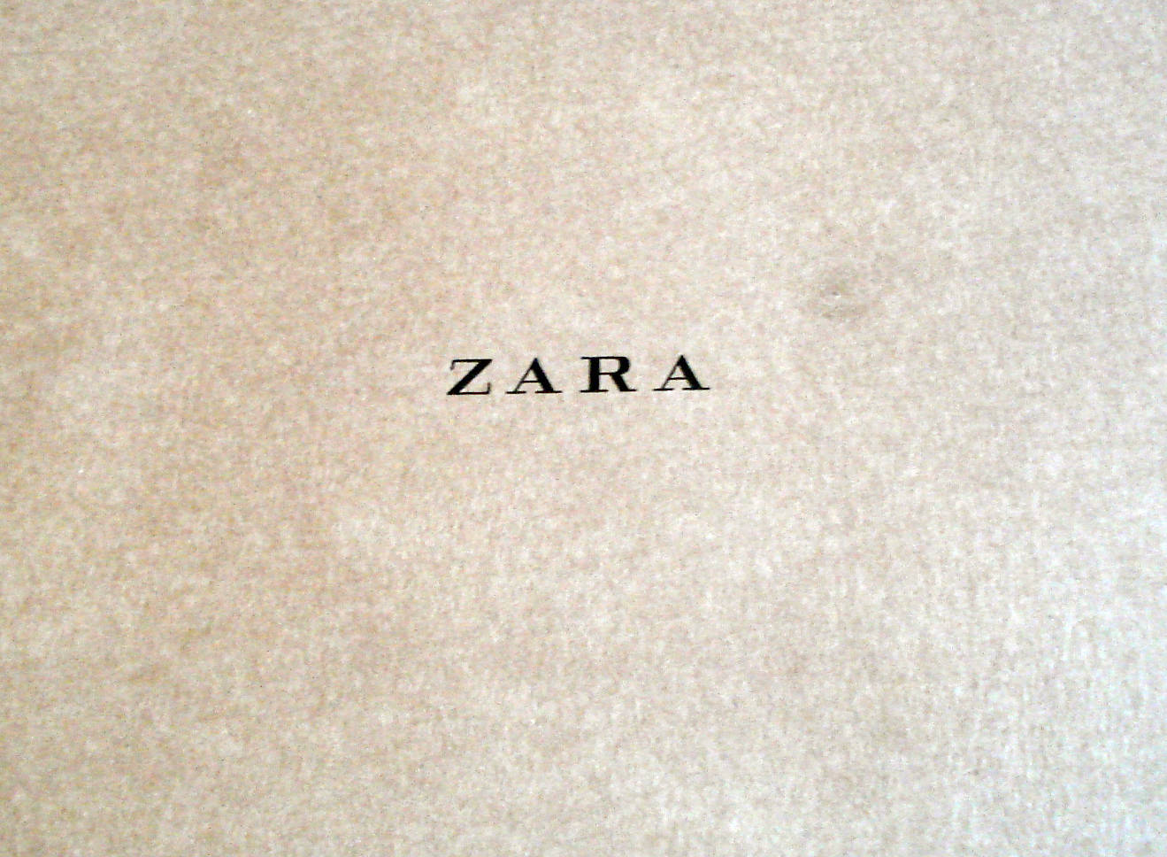 Zara 桌布 壁紙 — 米色紋理表面上，黑色襯線字體的「ZARA」字樣居中於畫面。