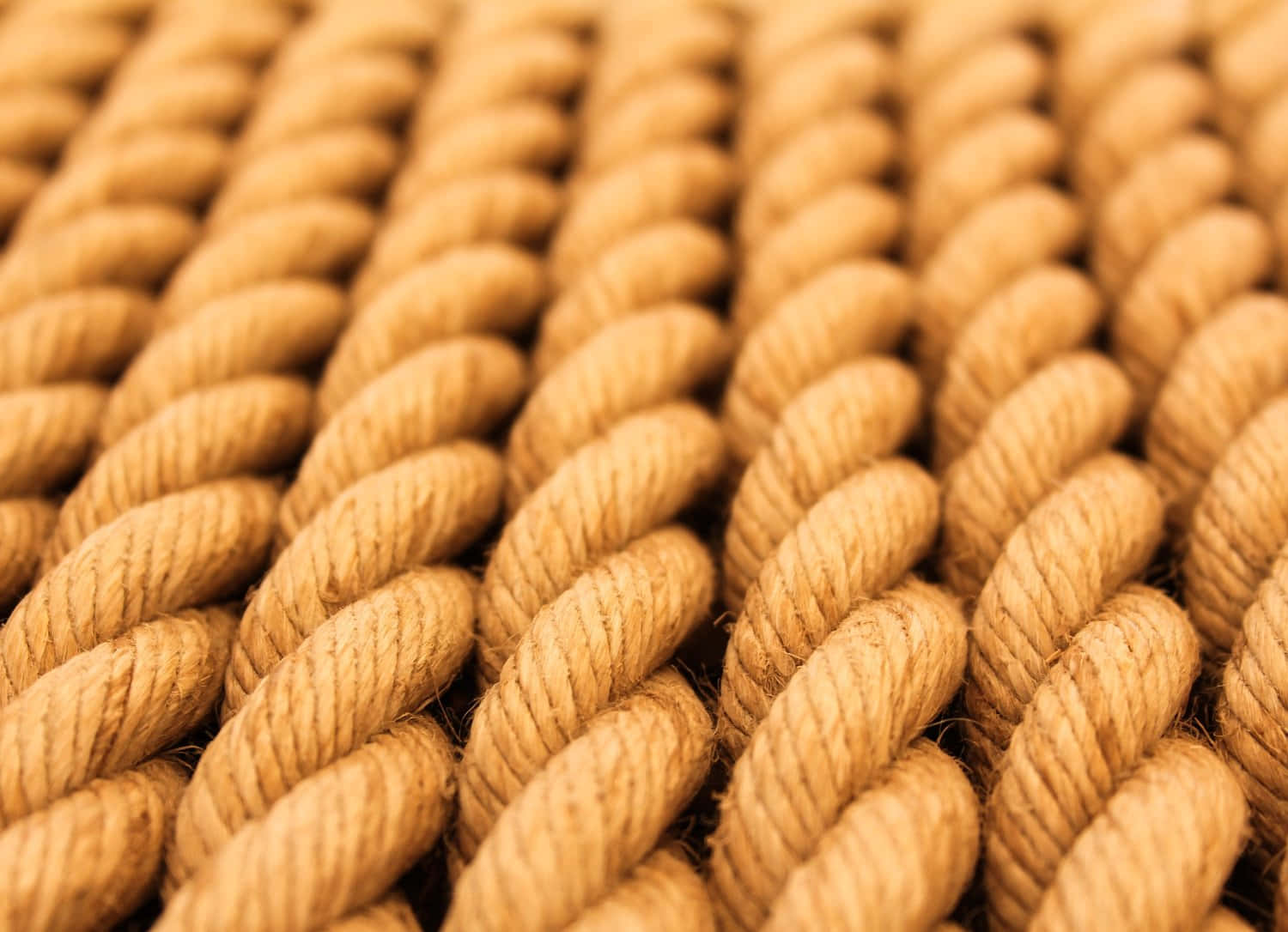 rope 桌布 壁紙 — 米色繩索緊密編織形成紋理圖案的特寫，帶柔和自然光線。