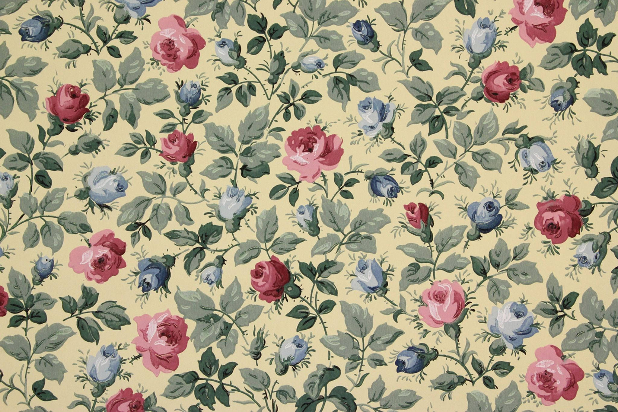 Rose Aesthetic 桌布 壁紙 — 米色背景上帶有粉紅色和藍色玫瑰的復古花卉壁紙圖案。