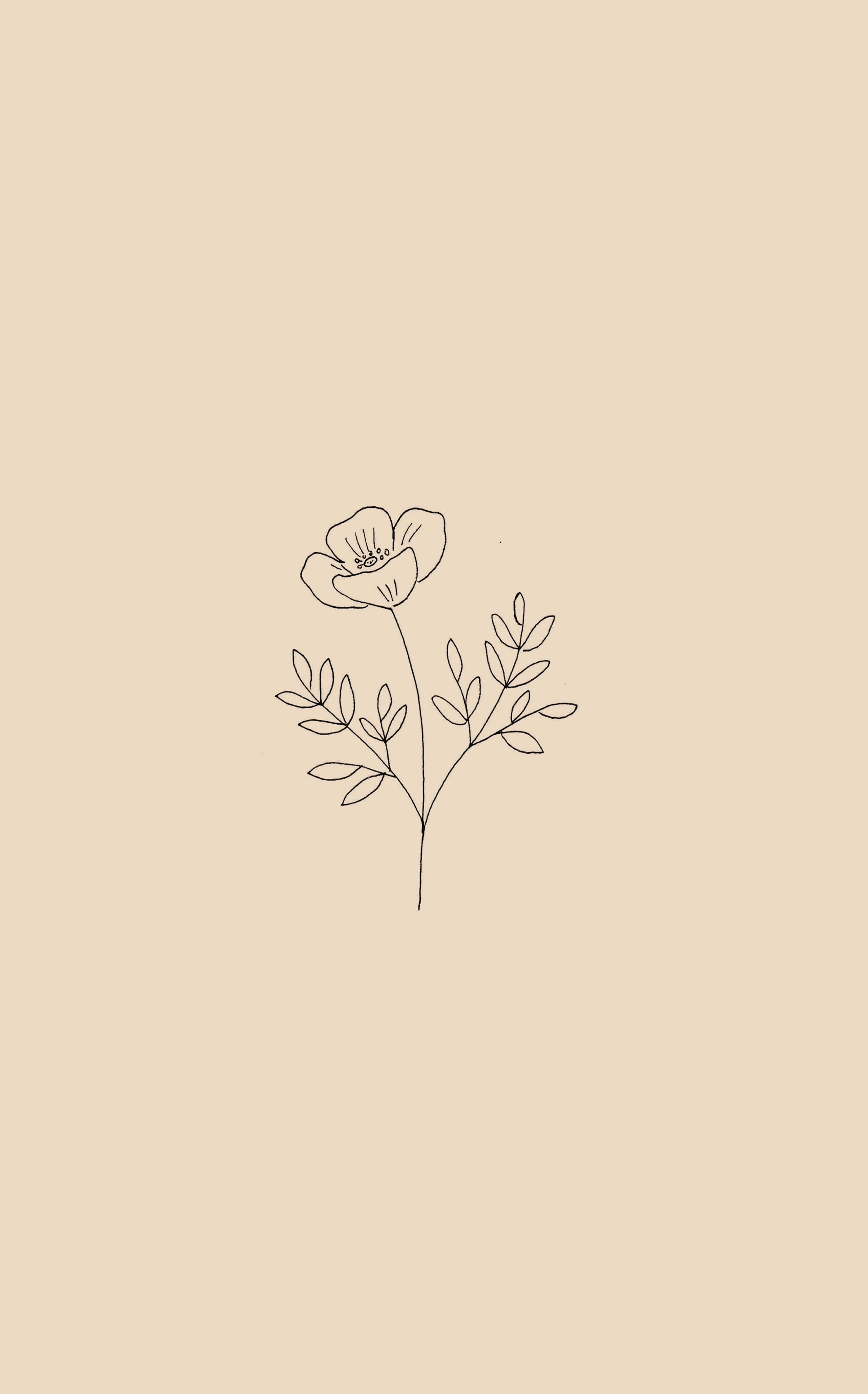 Simple Flower 桌布 壁紙 — 米色背景上帶有葉子的單朵花的極簡線條畫。