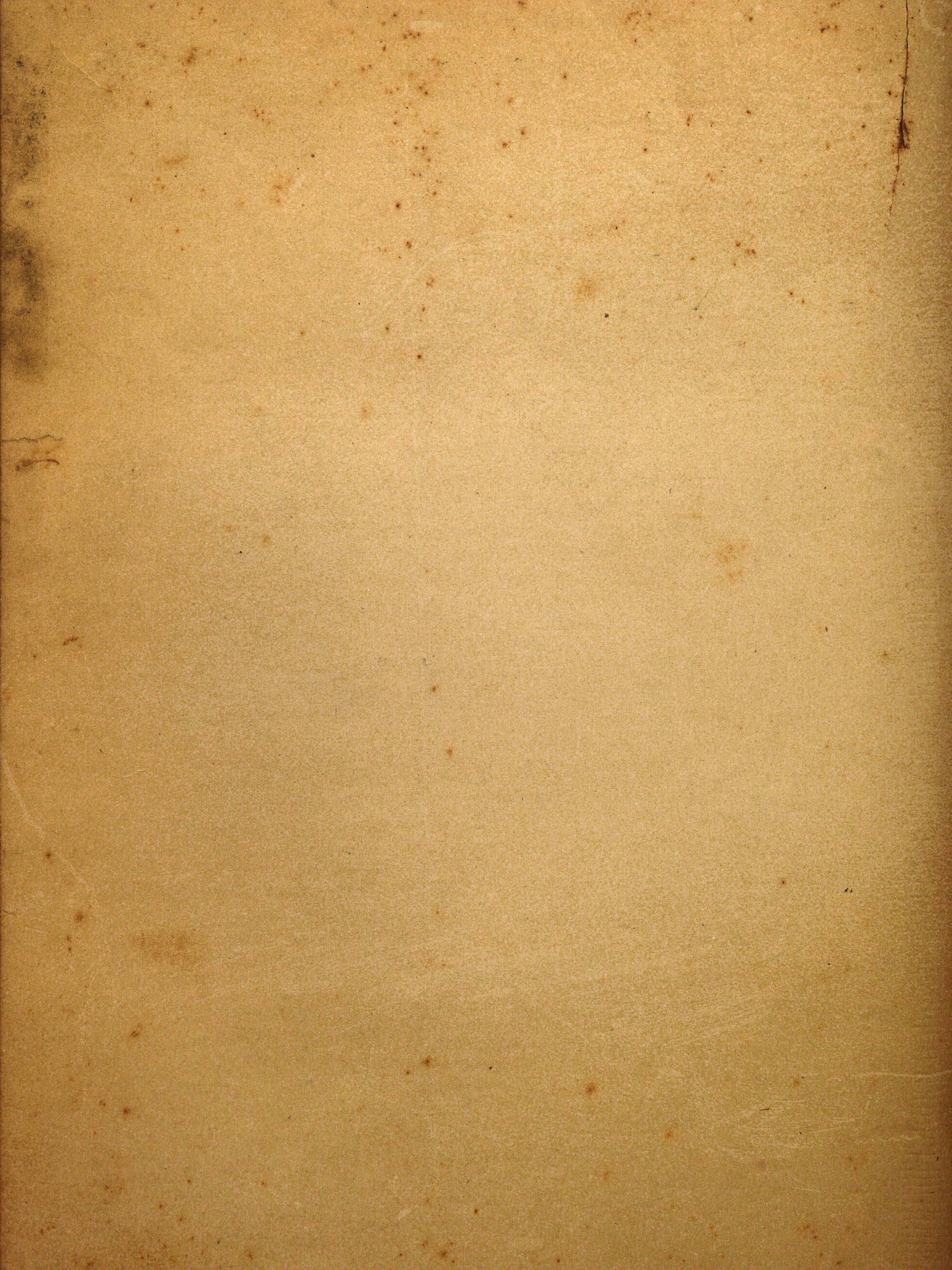 Old Paper 桌布 壁紙 — 米色舊羊皮紙的特寫，帶有細微污漬和摺痕，展現其復古質感。