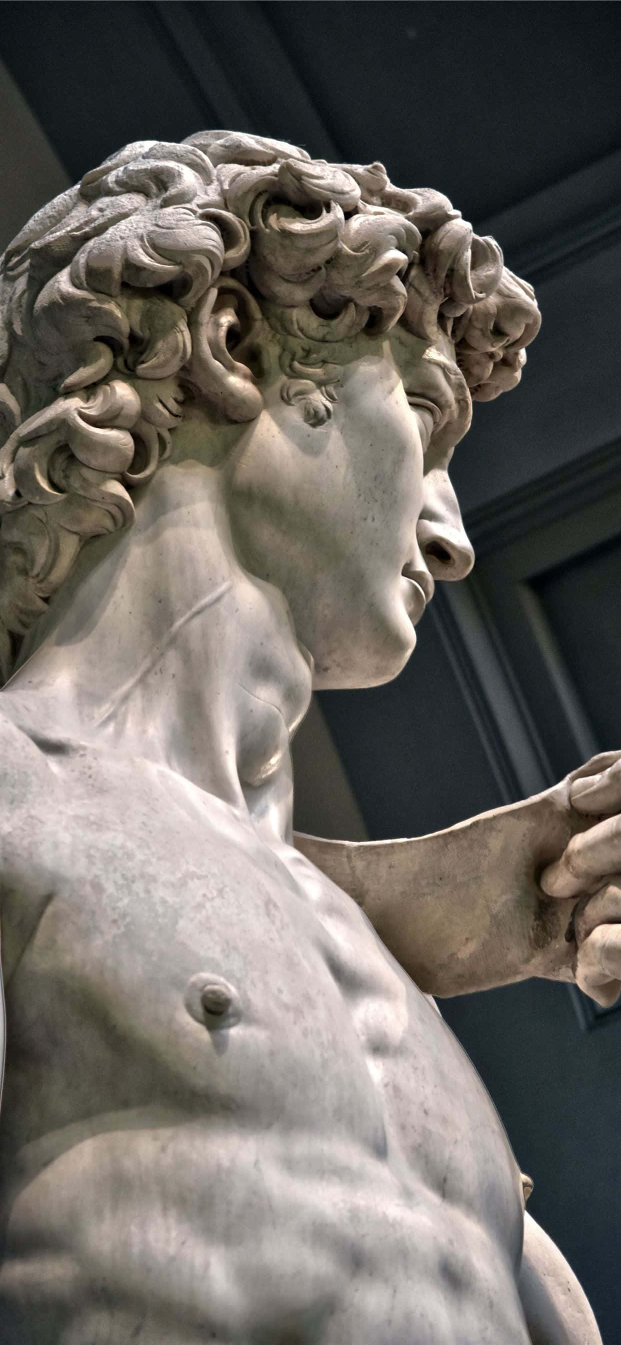 Michelangelo 桌布 壁紙 — 米開朗基羅大衛像大理石雕像特寫，展示博物館環境中細緻的捲髮和肌肉發達的體格。