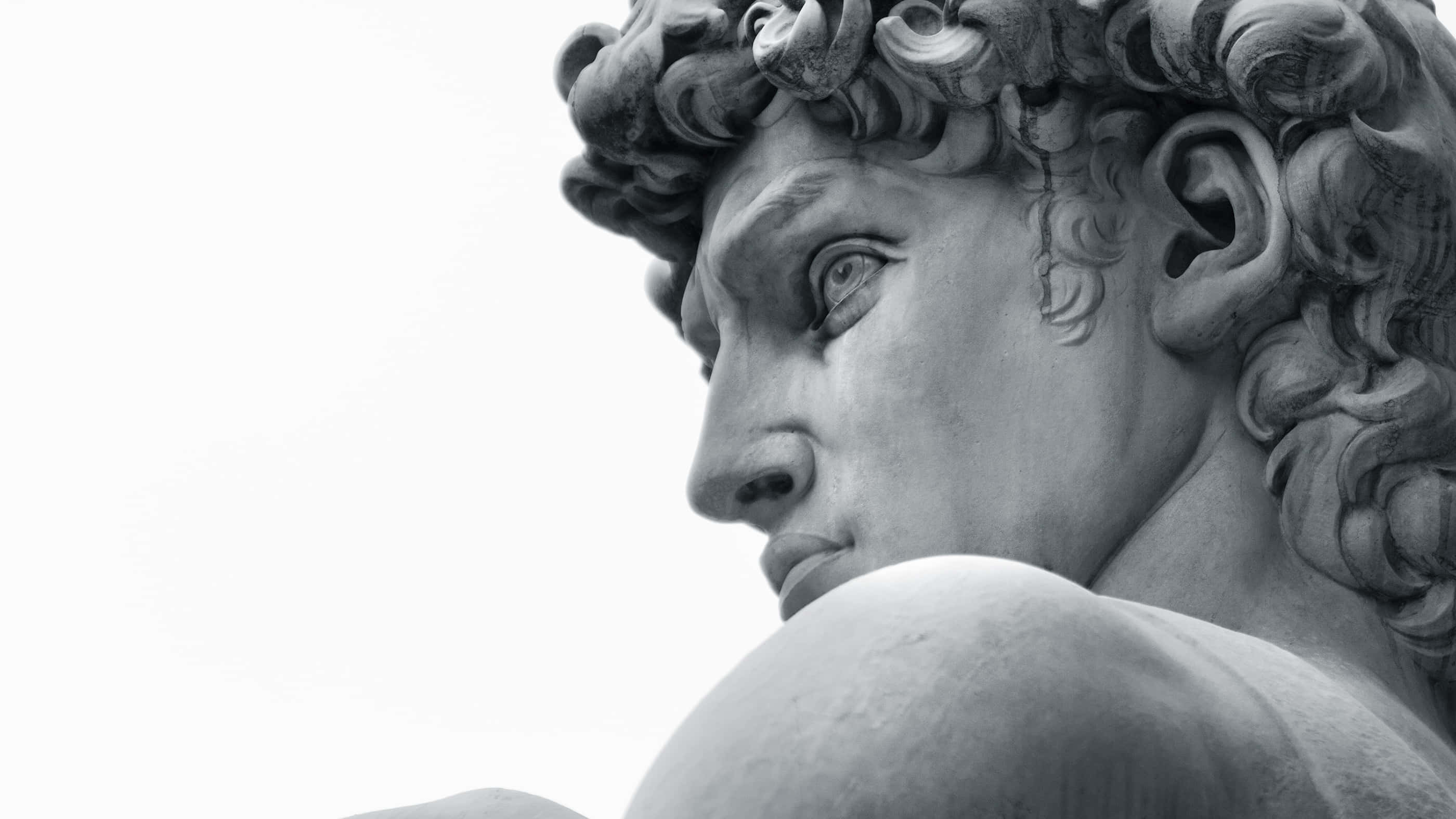 Renaissance 桌布 壁紙 — 米開朗基羅大衛像的特寫，以單色呈現，顯示細緻的捲髮和強烈的凝視，背景是明亮的天空。