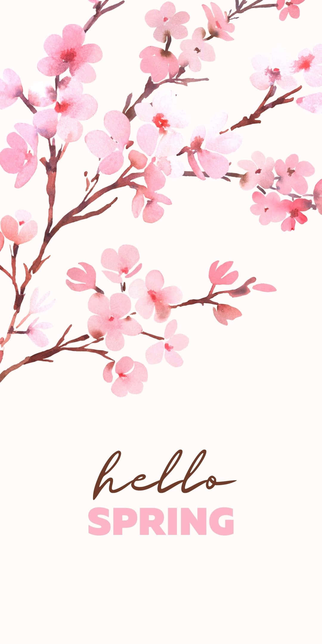 Best Spring 桌布 壁紙 — 粉嫩櫻花在纖細枝條上盛開，襯托柔和奶油色背景，並帶有「hello spring」文字。
