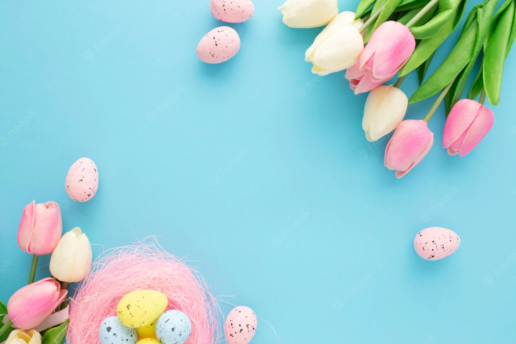 Easter 桌布 壁紙 — 粉彩斑點蛋和粉紅白色鬱金香排列在明亮的藍色背景上，附有複製空間。