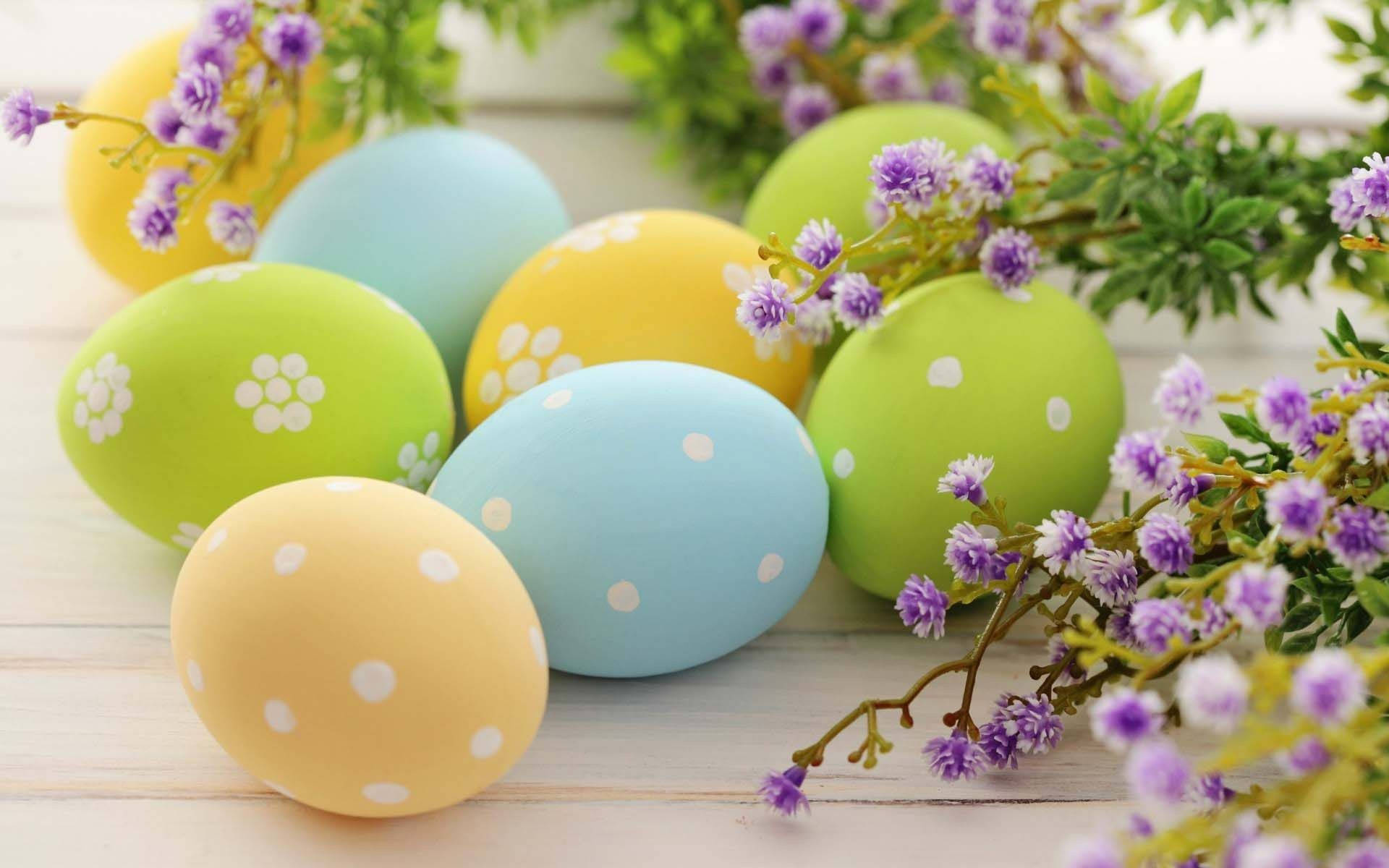 Easter 桌布 壁紙 — 粉彩色裝飾復活節蛋，帶有白色圓點和花卉圖案，放在木質表面上，旁邊有紫色花朵。