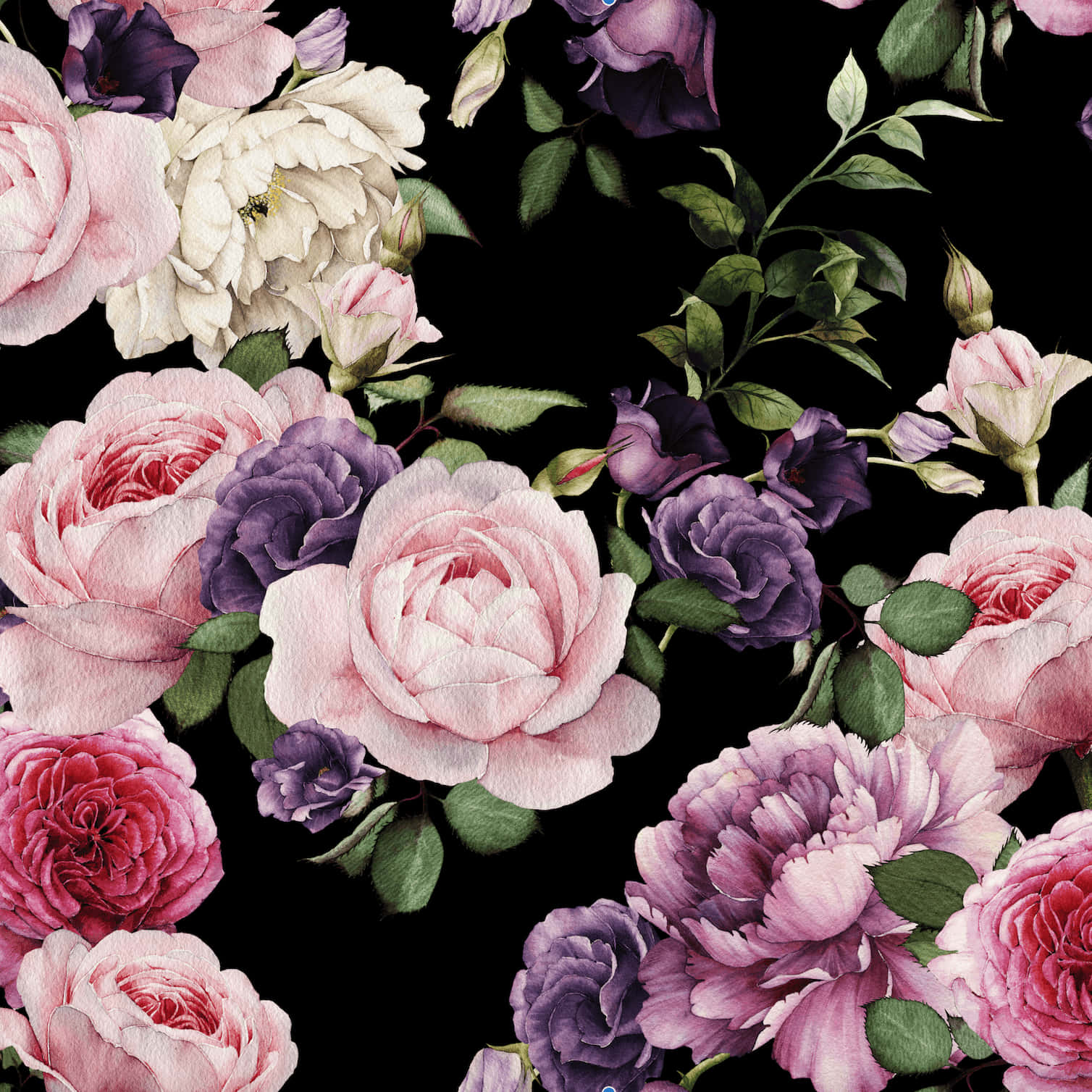 Vintage Floral 桌布 壁紙 — 粉紅、紫、白色的鮮豔水彩玫瑰在純黑背景上盛開，襯以翠綠葉片。