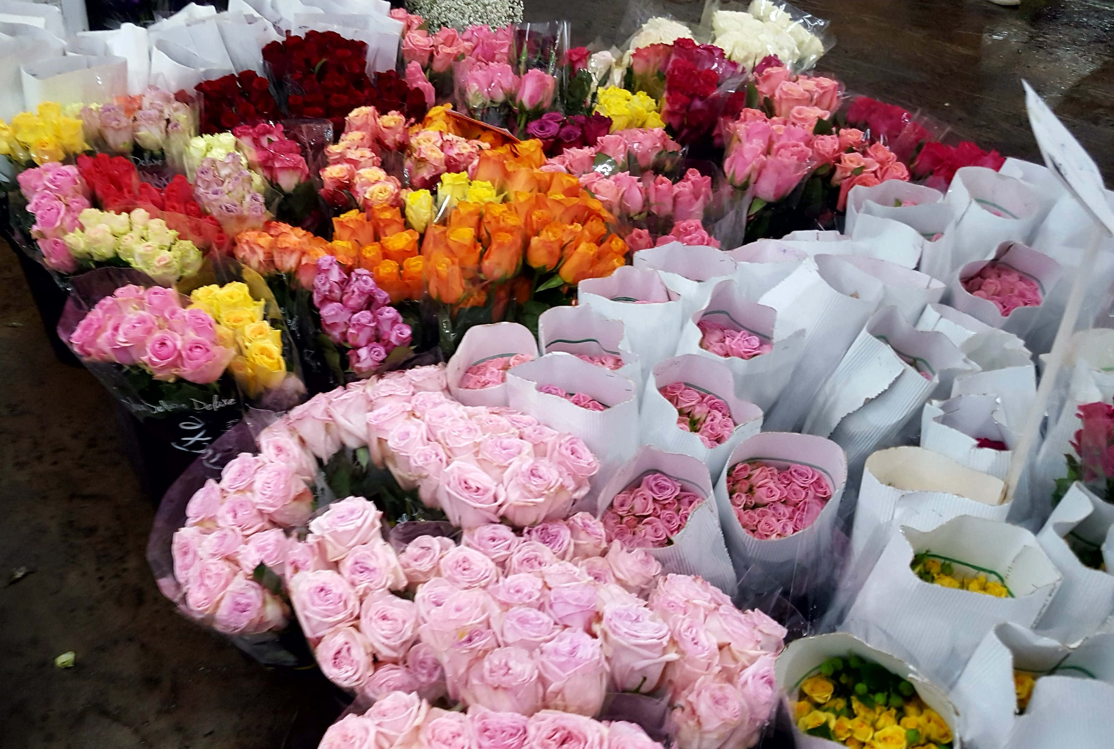 Flower Market 桌布 壁紙 — 粉紅、黃、橙、紅色的鮮豔玫瑰花束以白紙包裝，擺放在花卉市場攤位上。