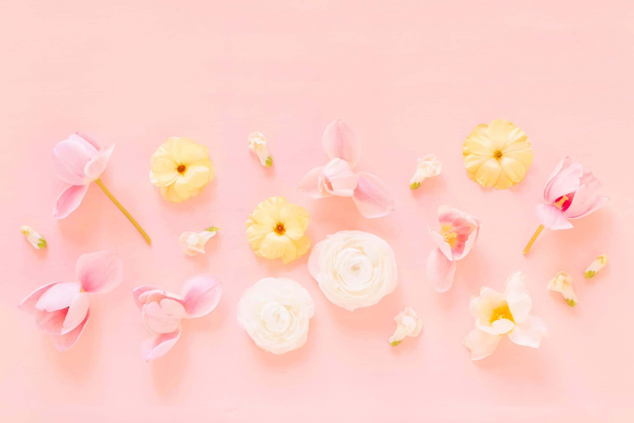 Spring Pastel 桌布 壁紙 — 粉紅、黃色和白色的柔和粉彩花朵，以平鋪方式排列在純粉紅背景上。