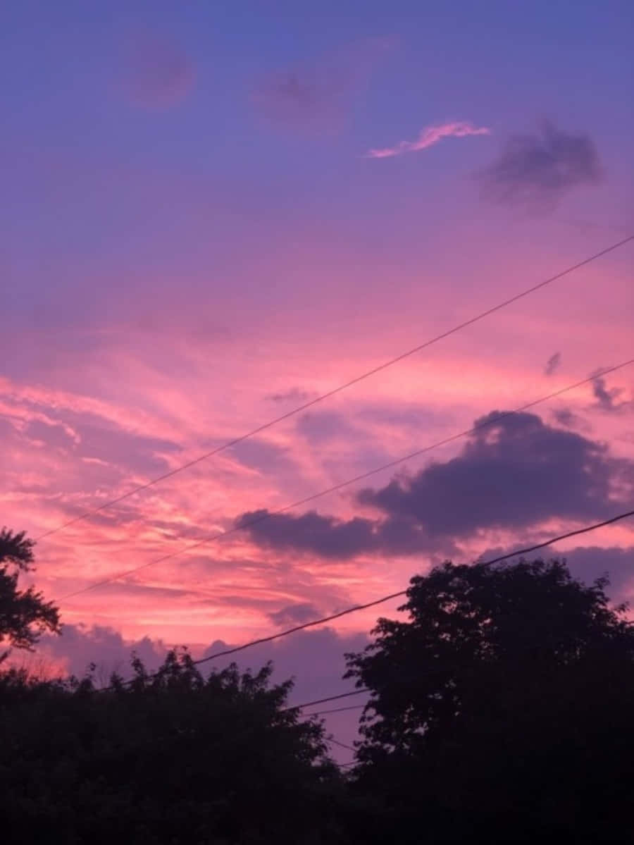 粉紅天空、雲朵與電線 壁紙